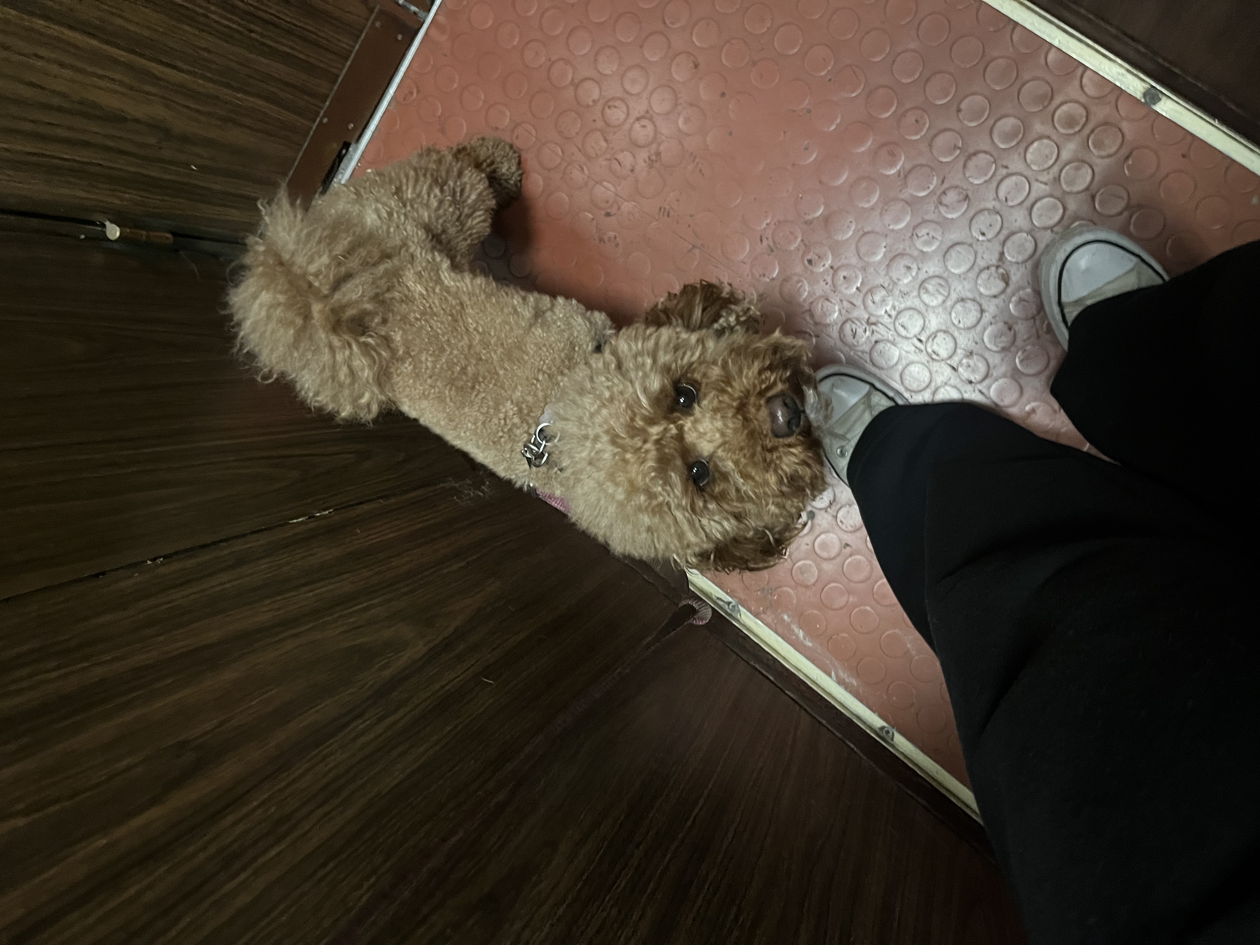 image-11