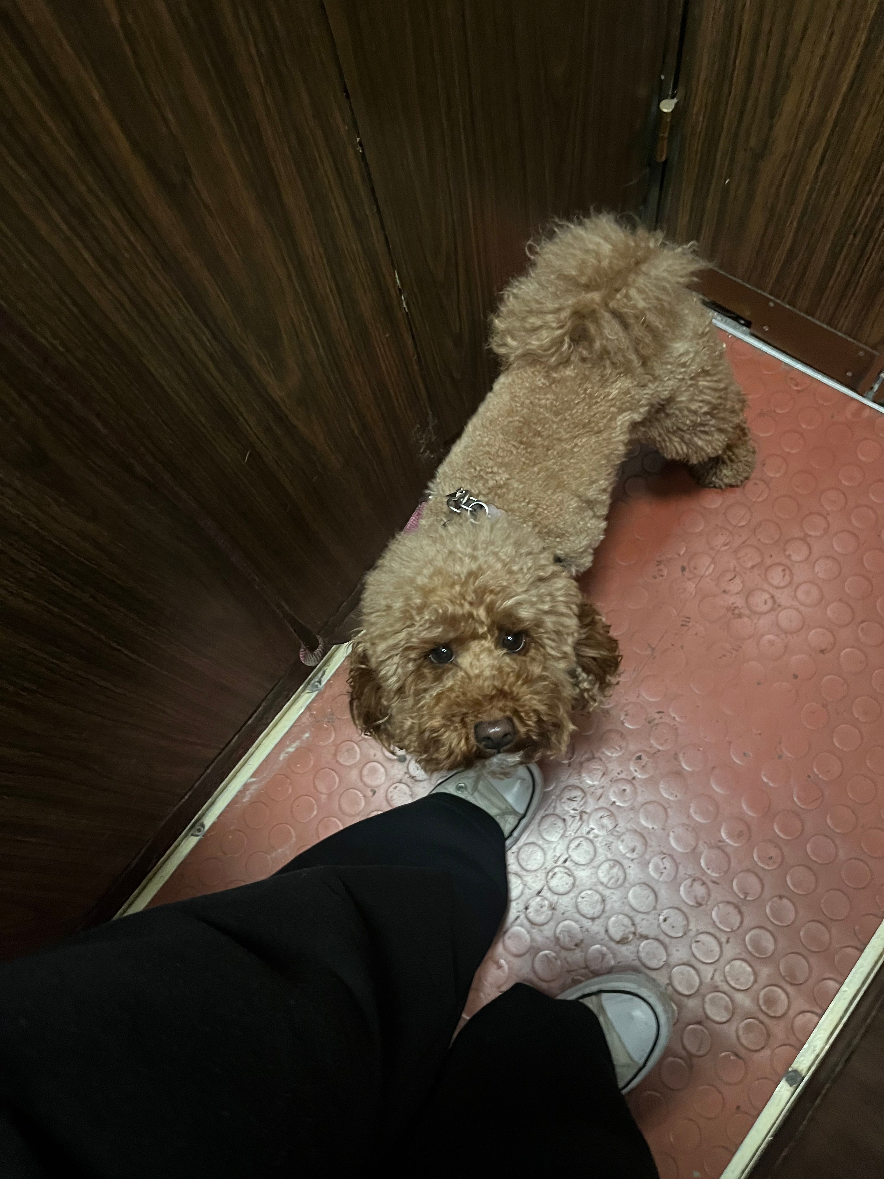 image-11