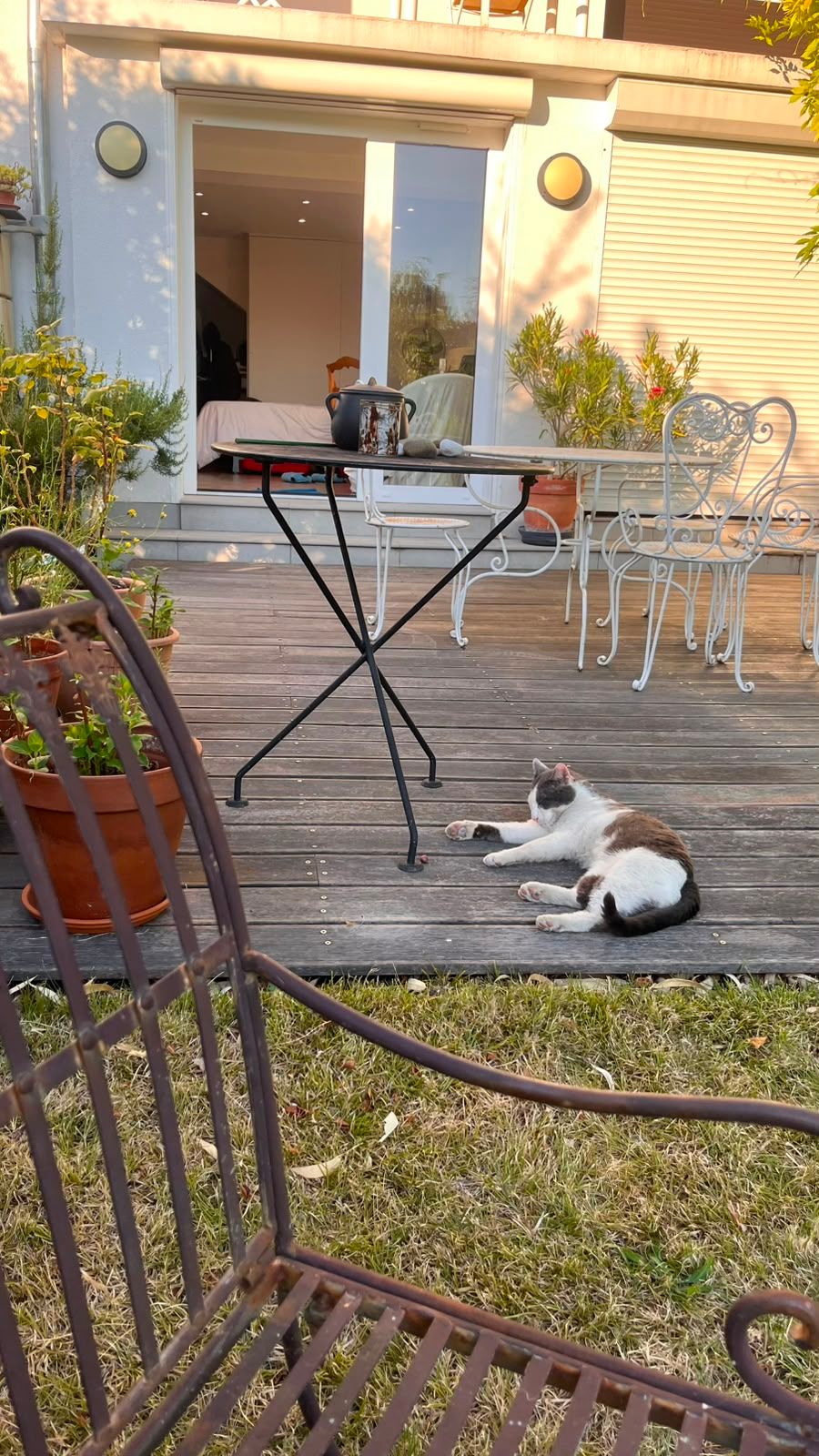 image-11