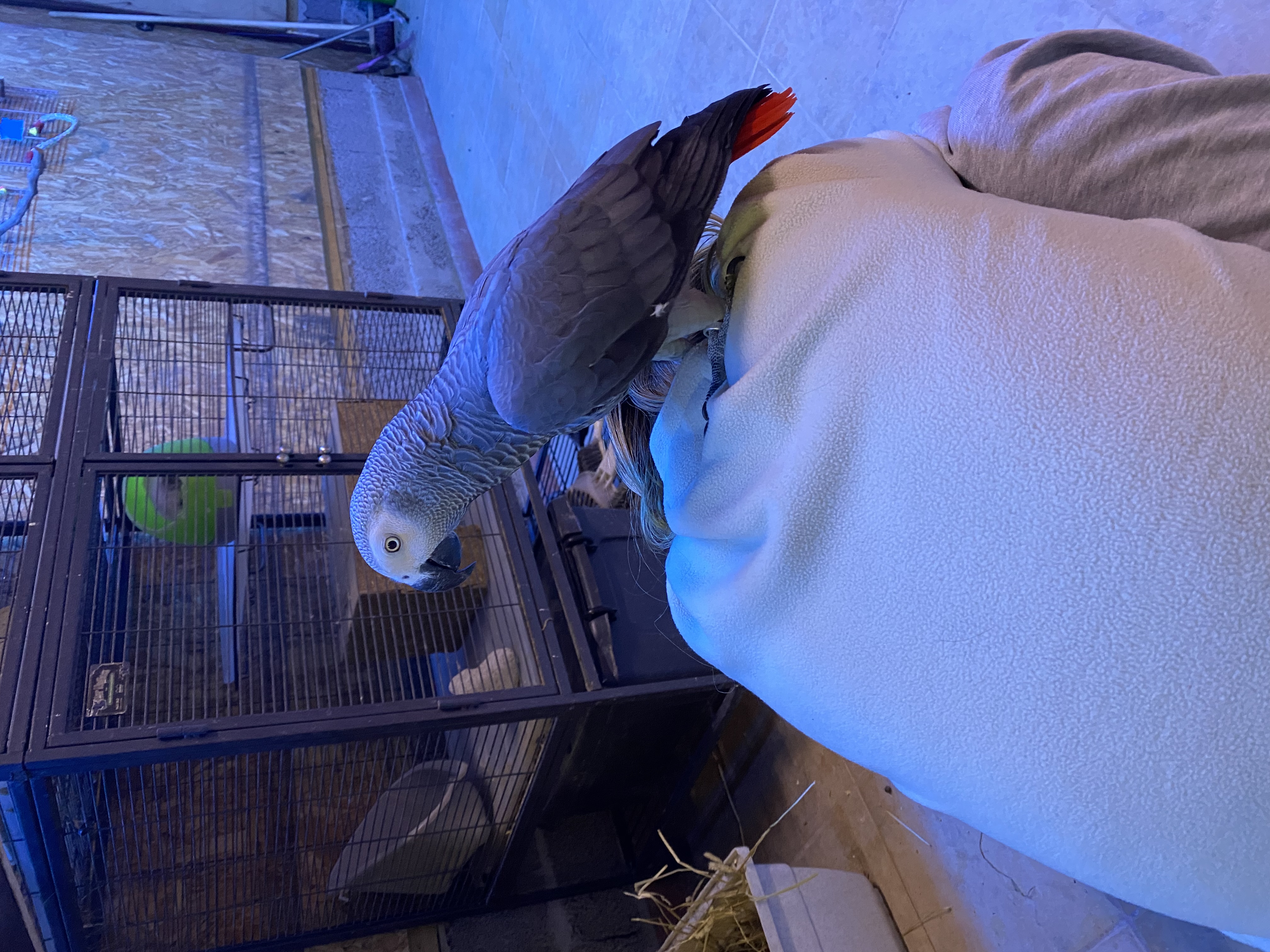 image-5