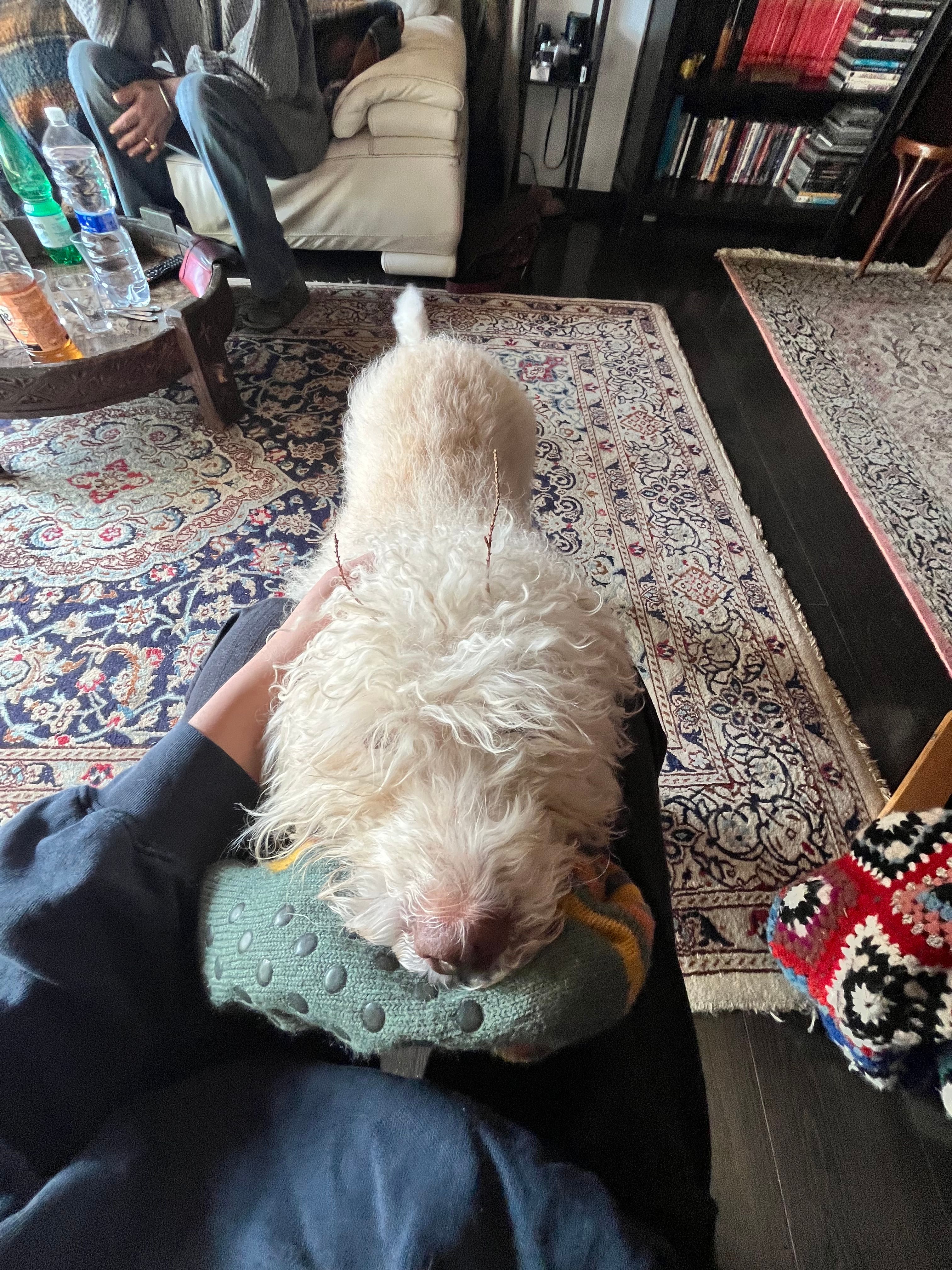 image-8