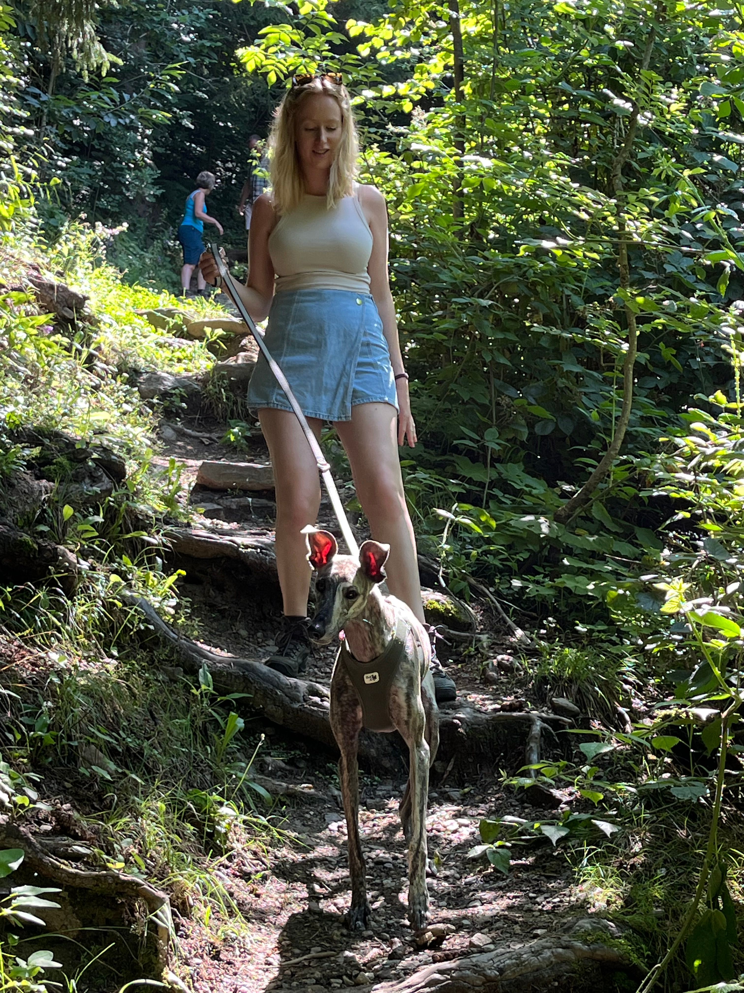 image-5