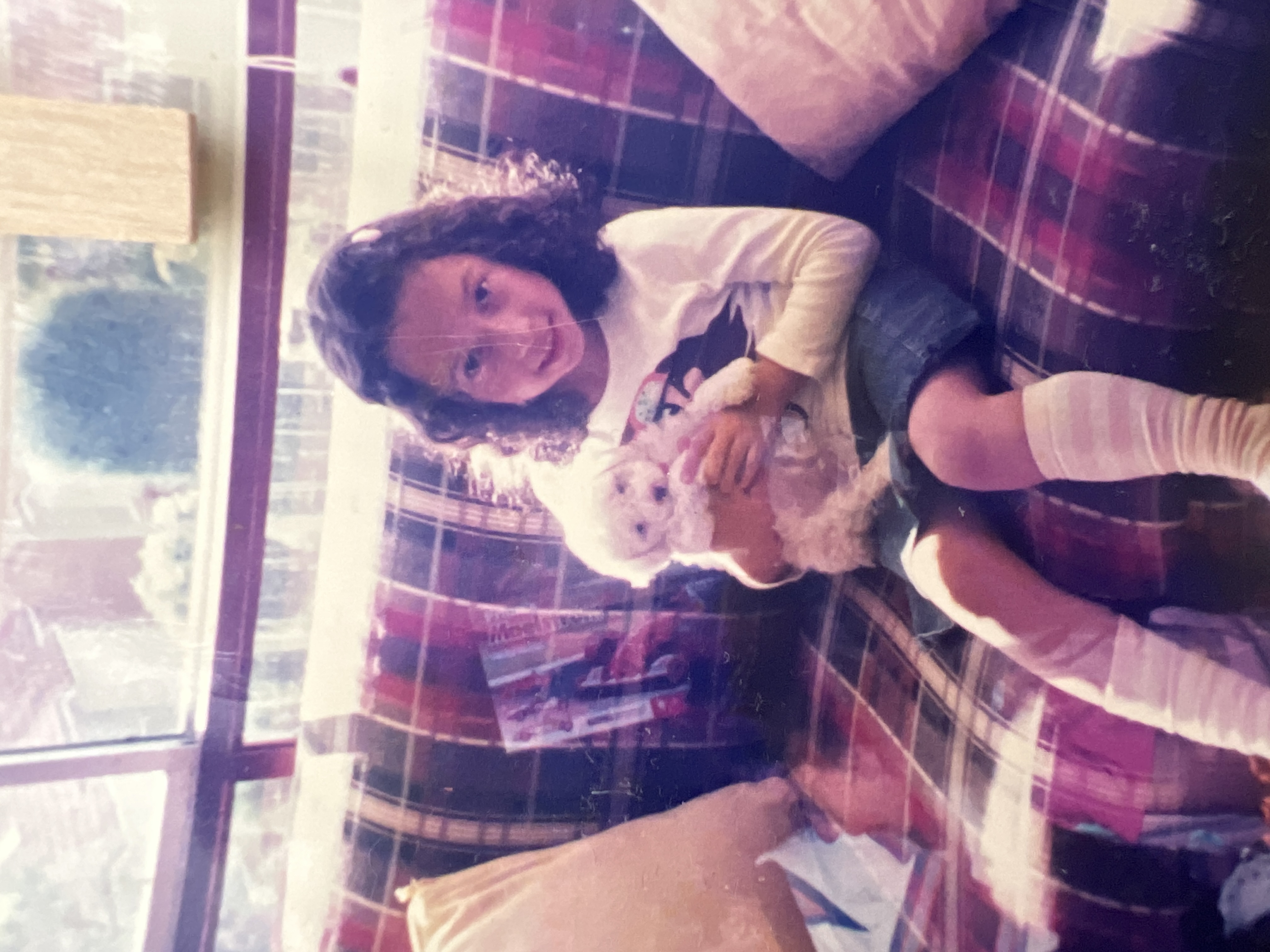 image-7