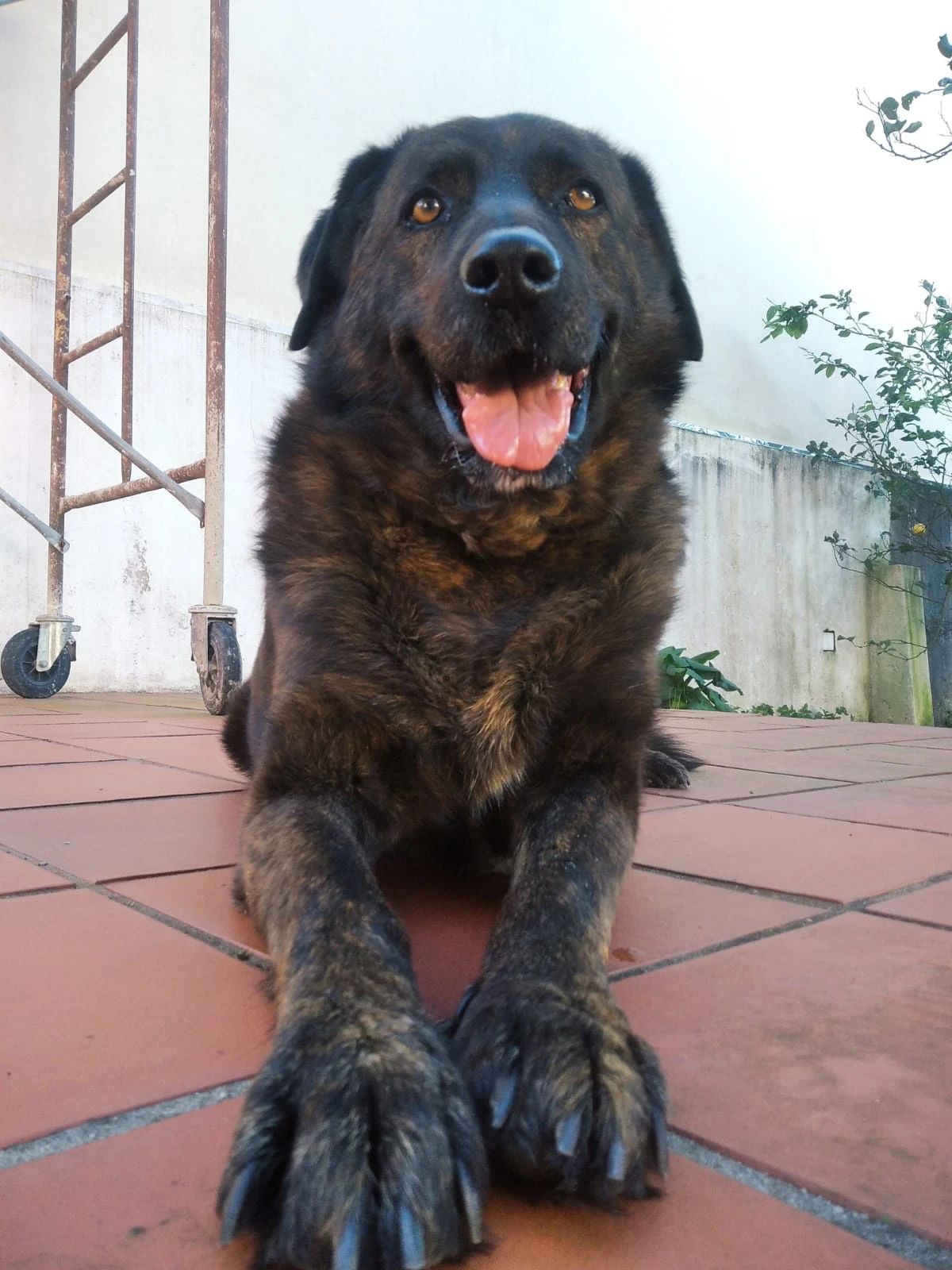 image-7
