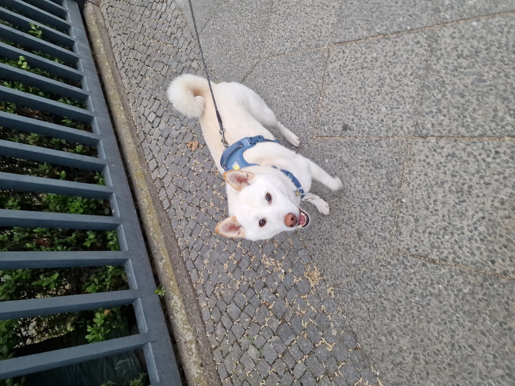 image-7