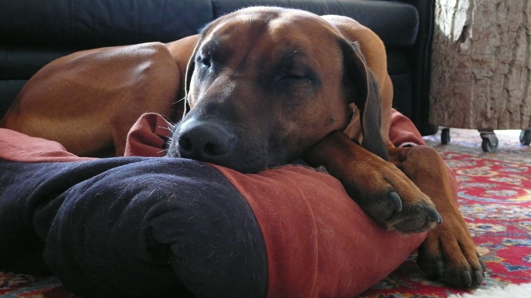 image-5
