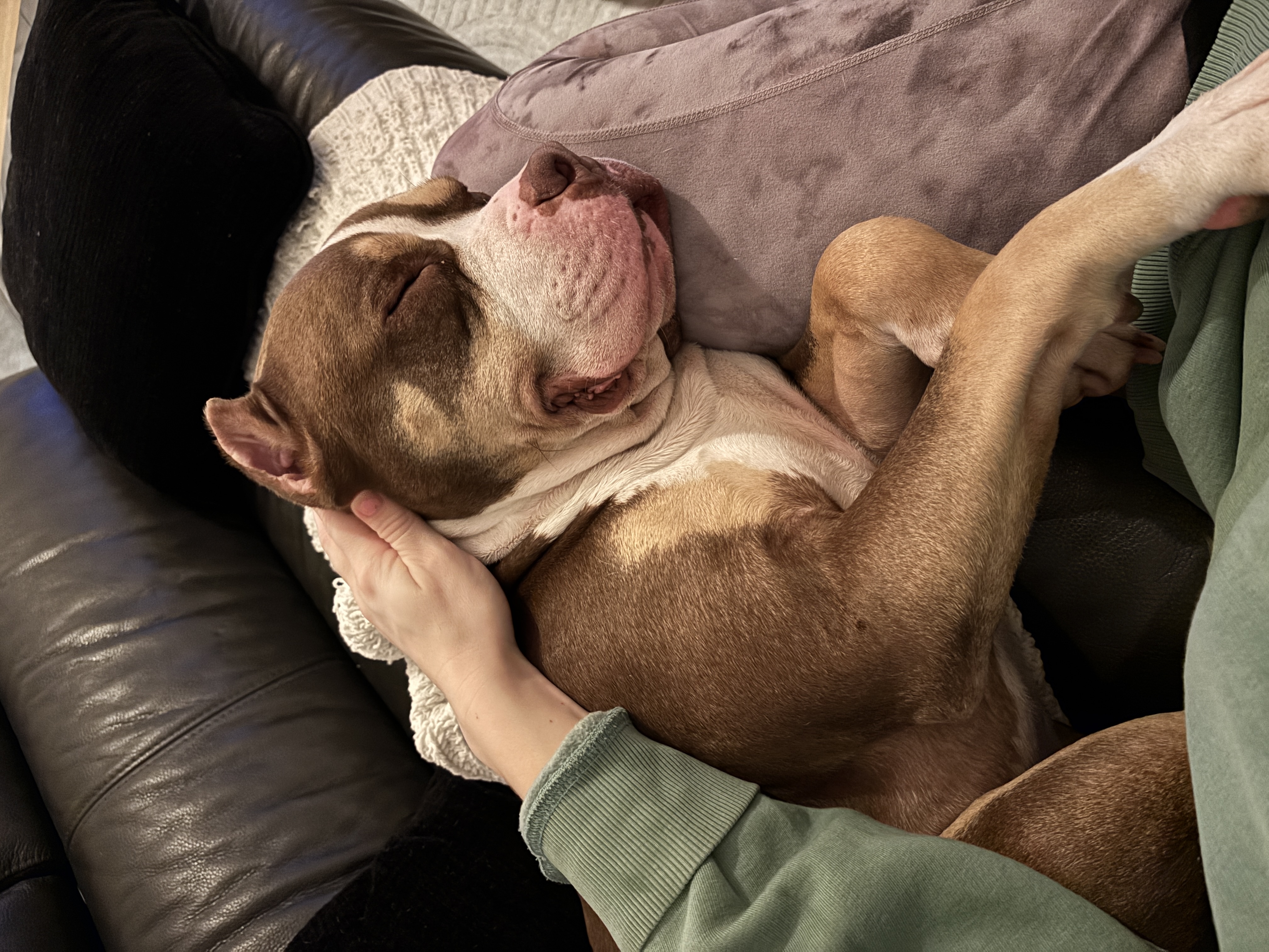 image-4