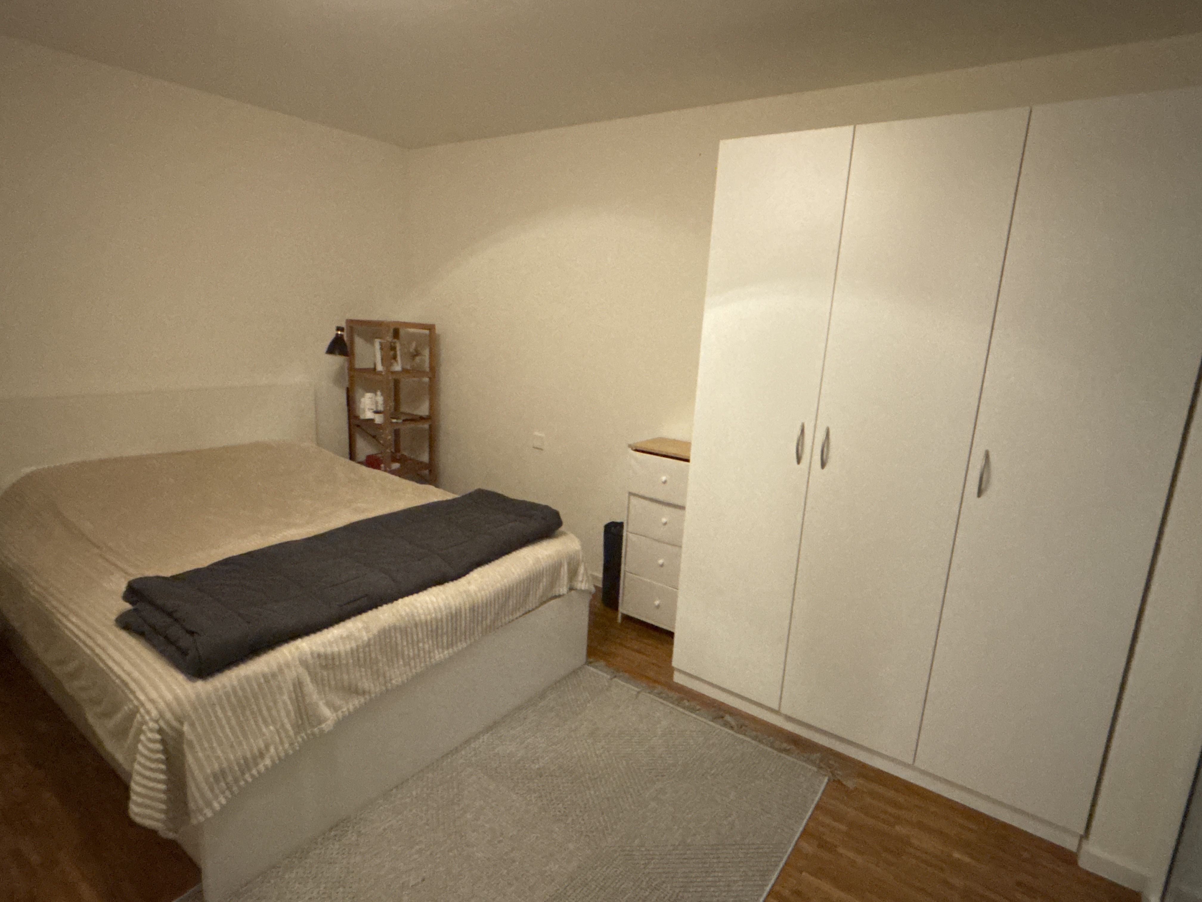 image-19