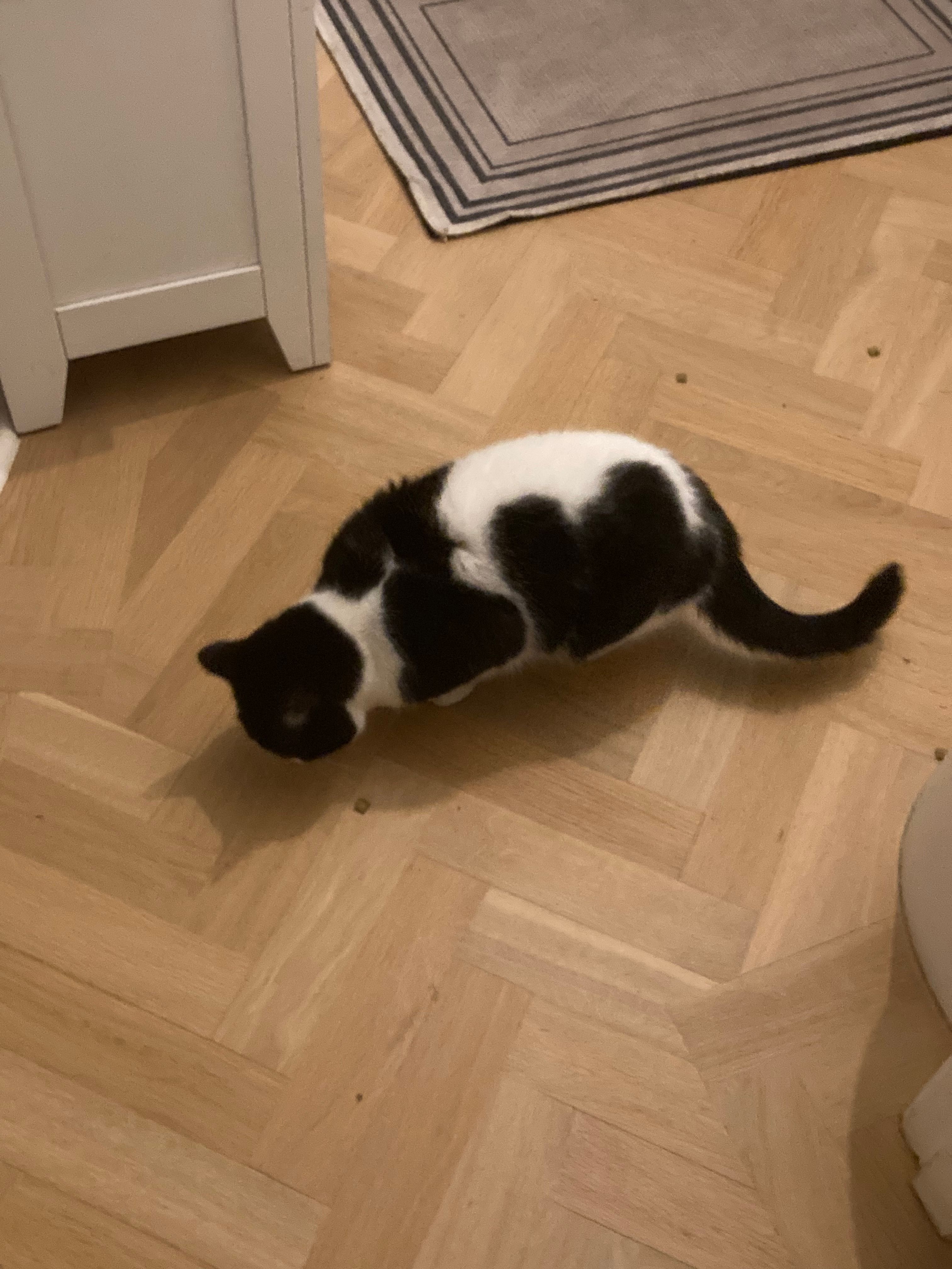 image-10