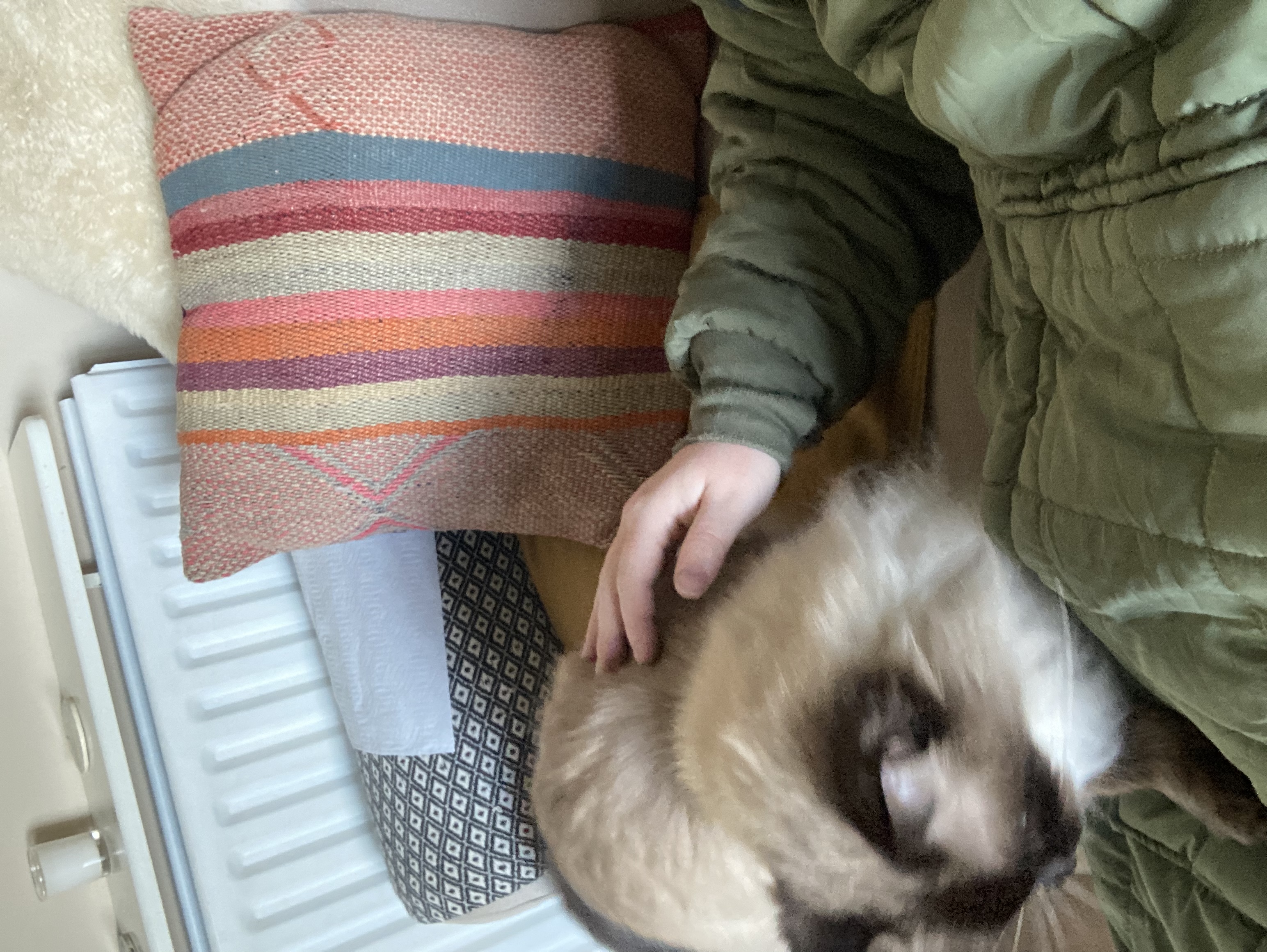 image-9