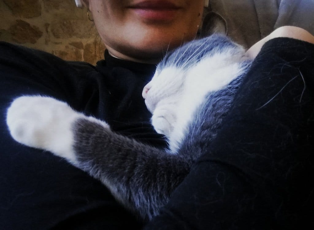 image-5