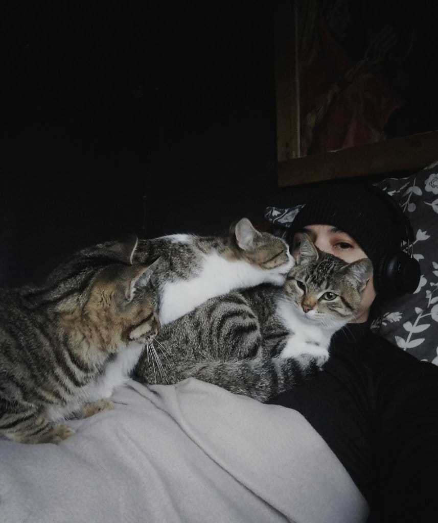 image-6