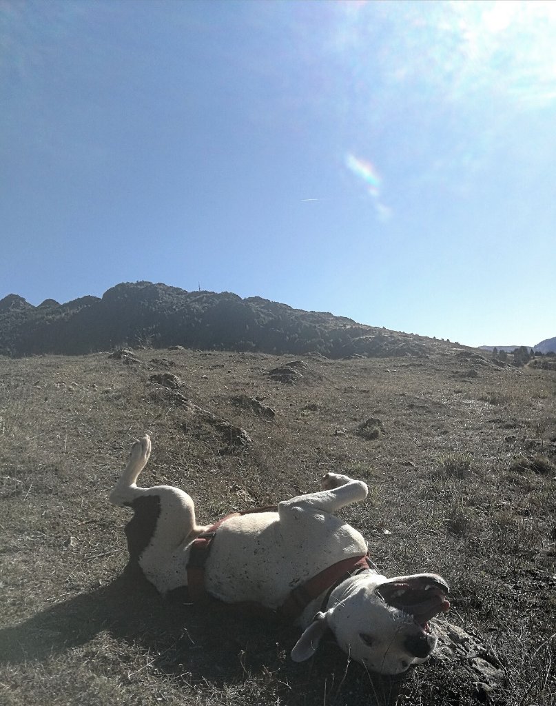 image-0