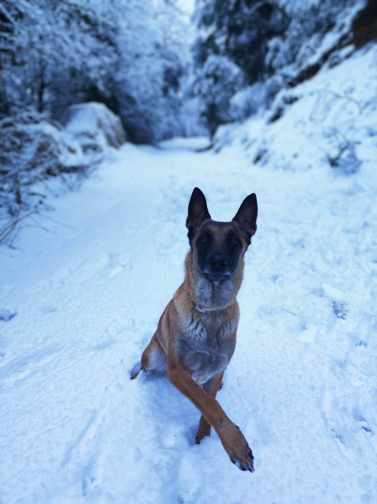 image-6