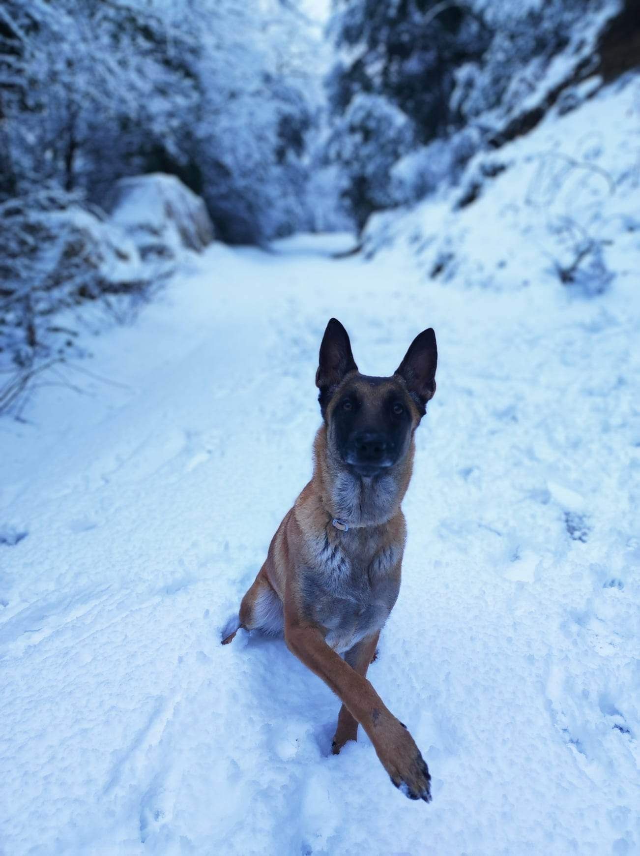 image-6