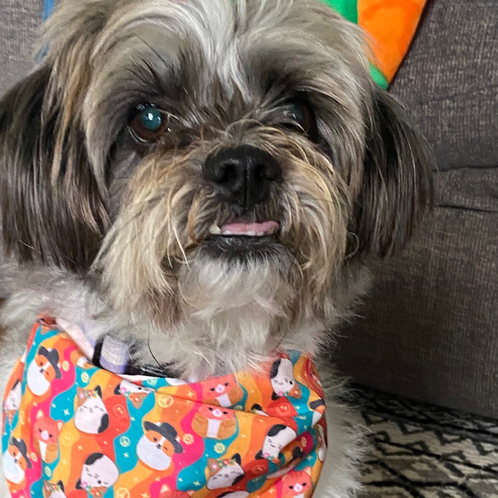 Lola