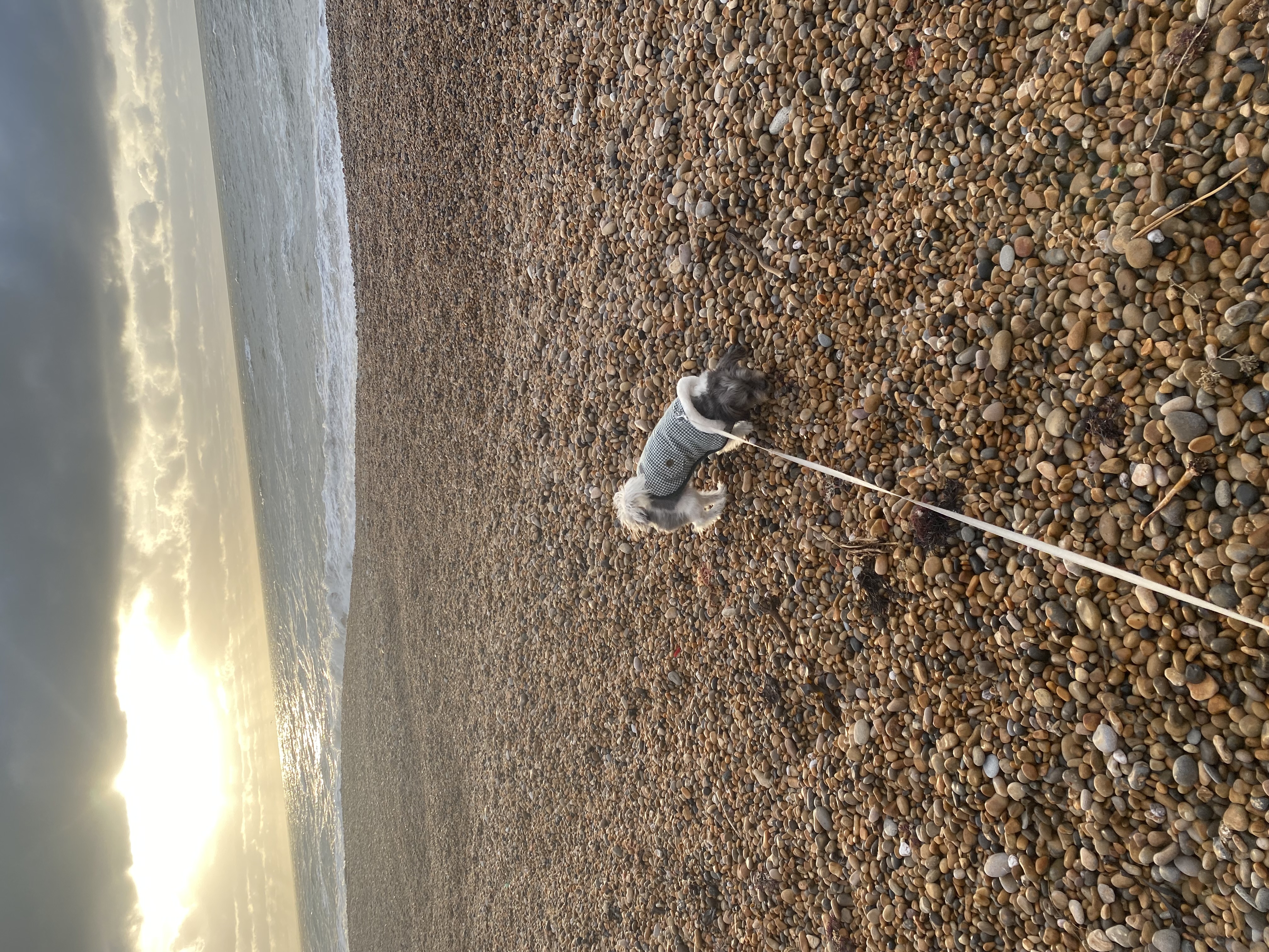 image-7