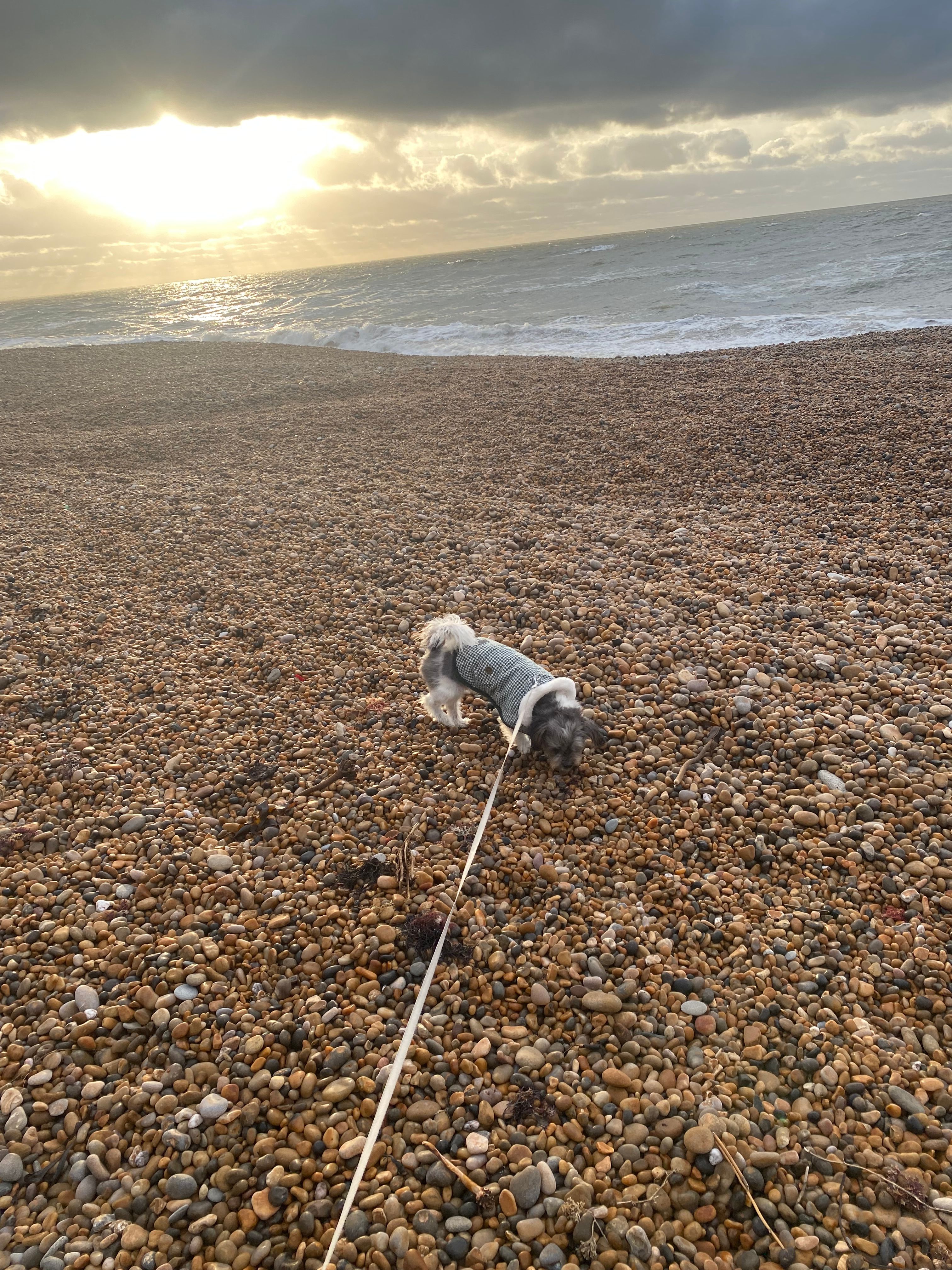 image-7