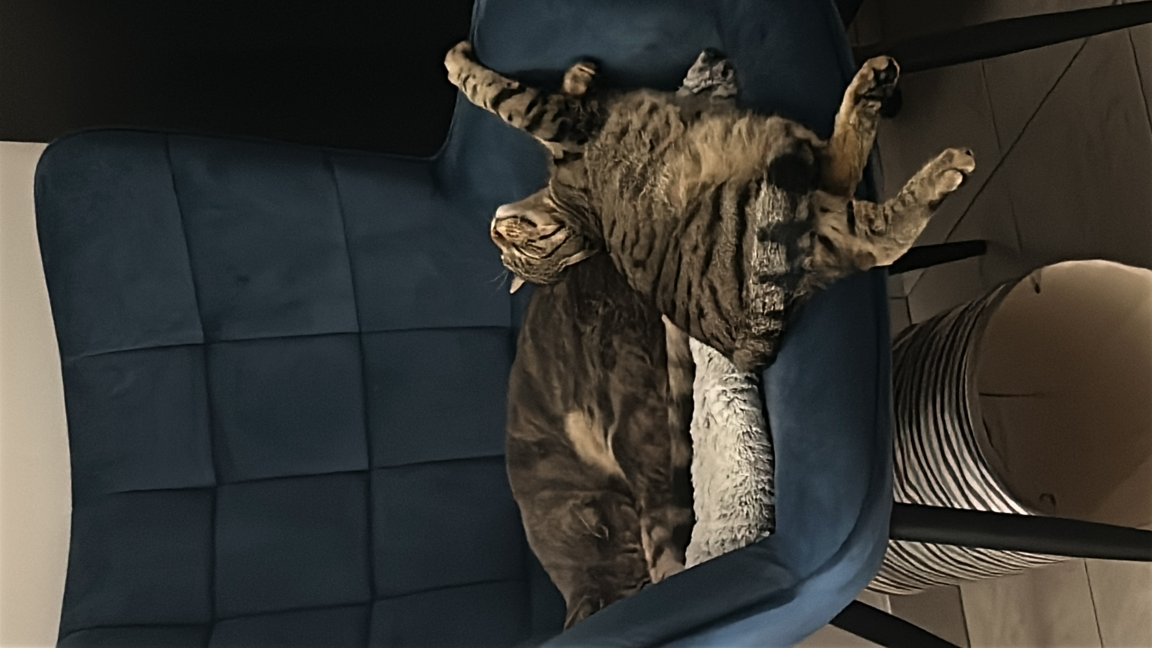 image-10