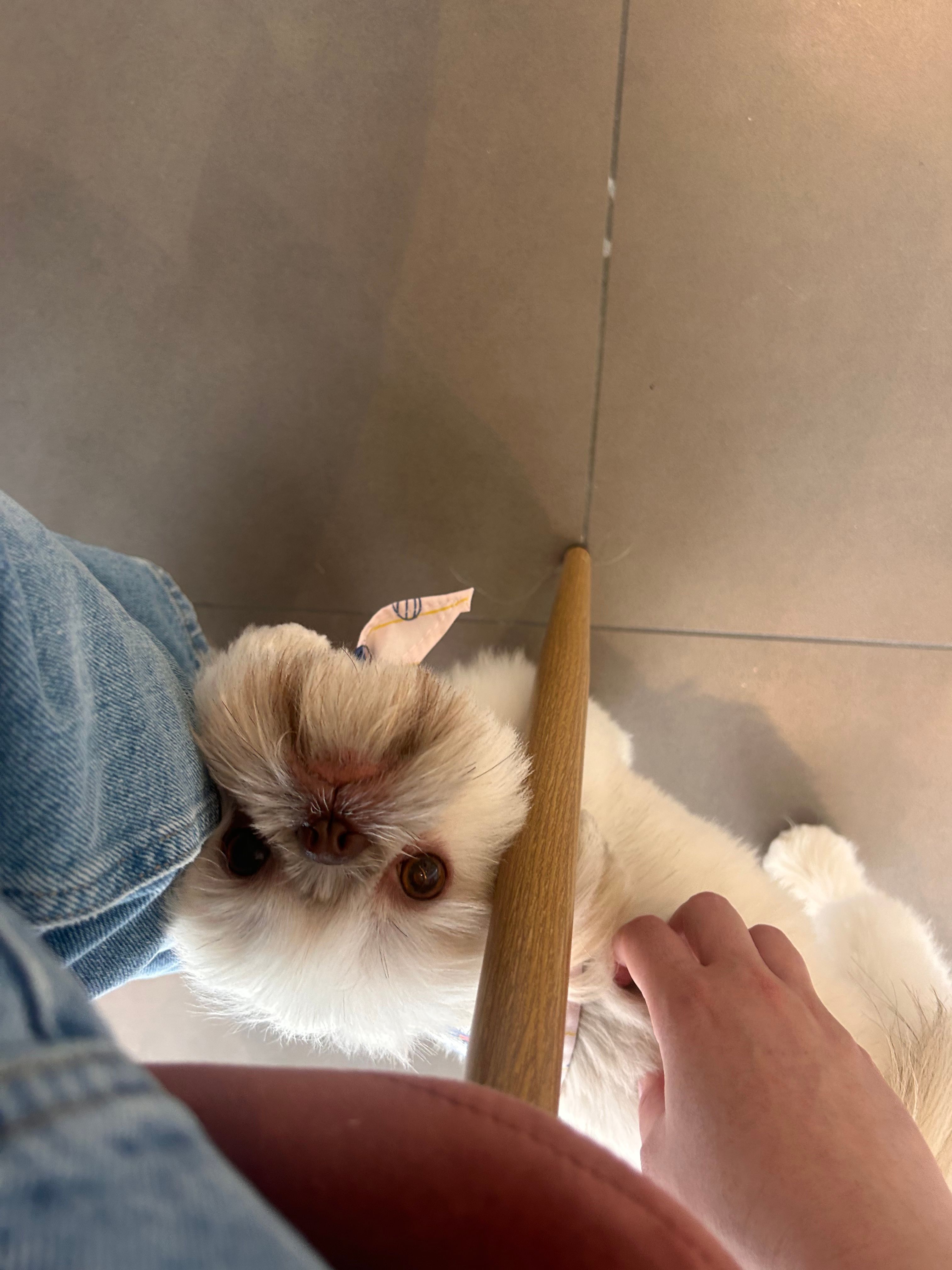 image-11