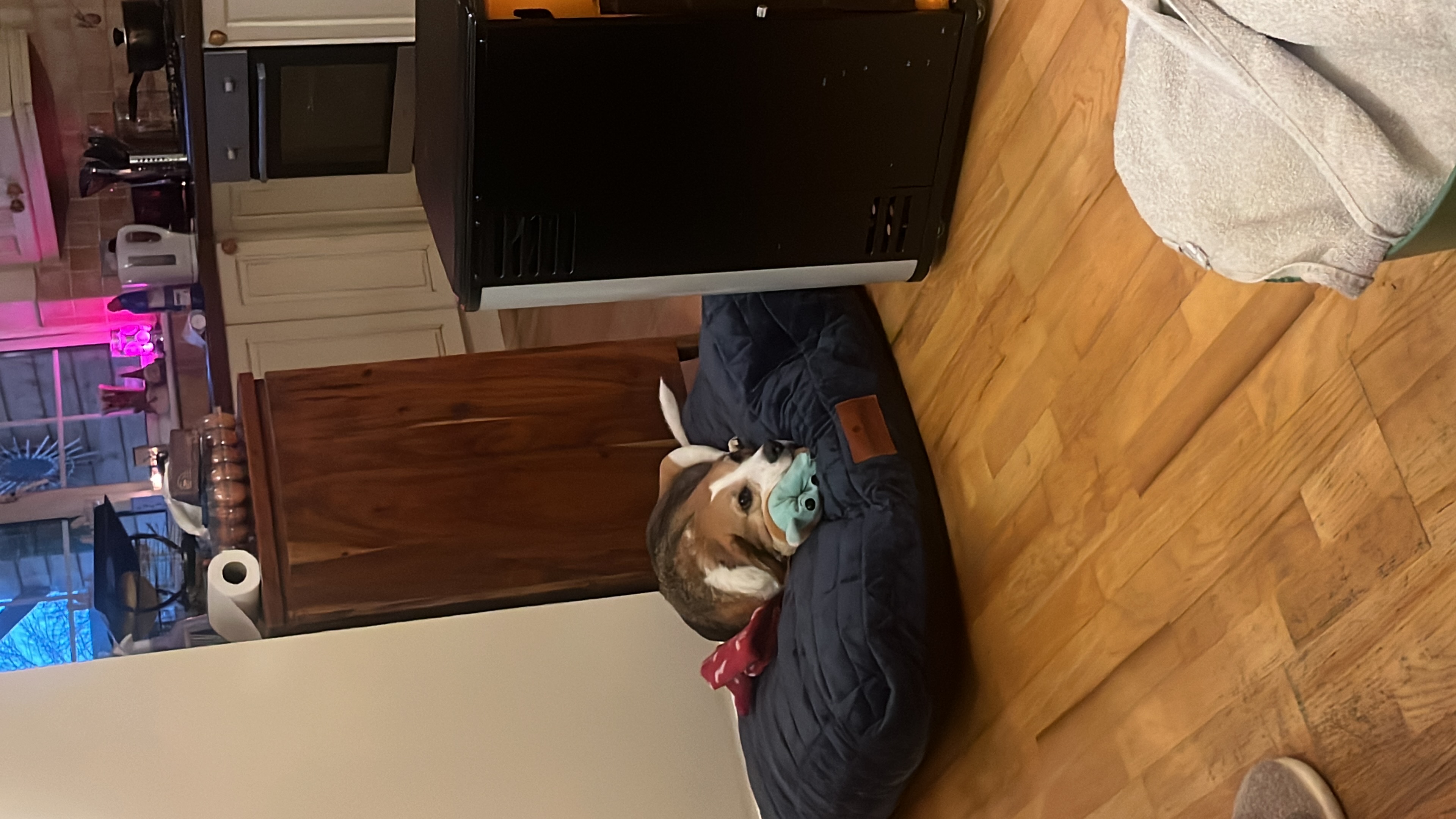 image-7