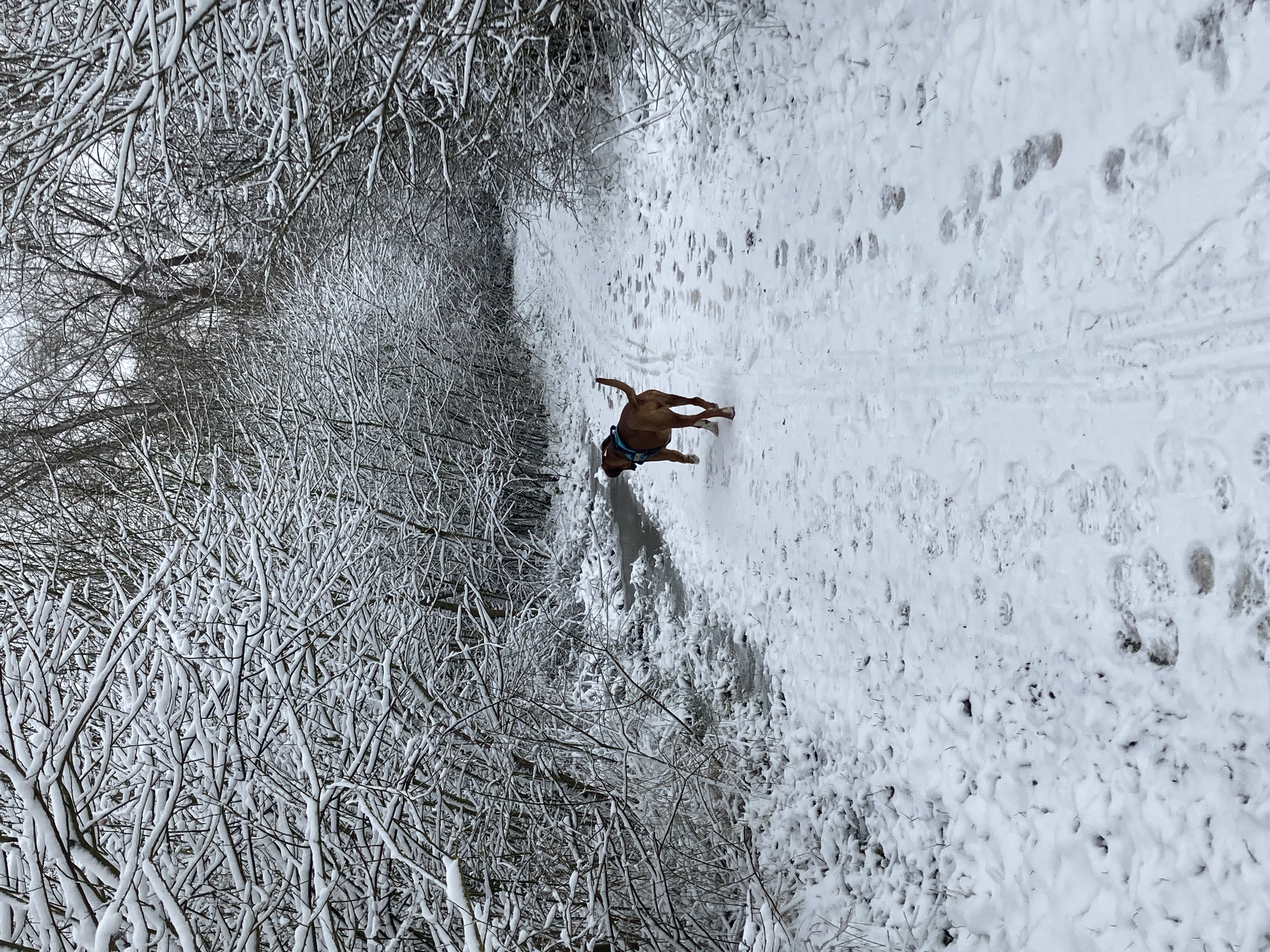 image-8