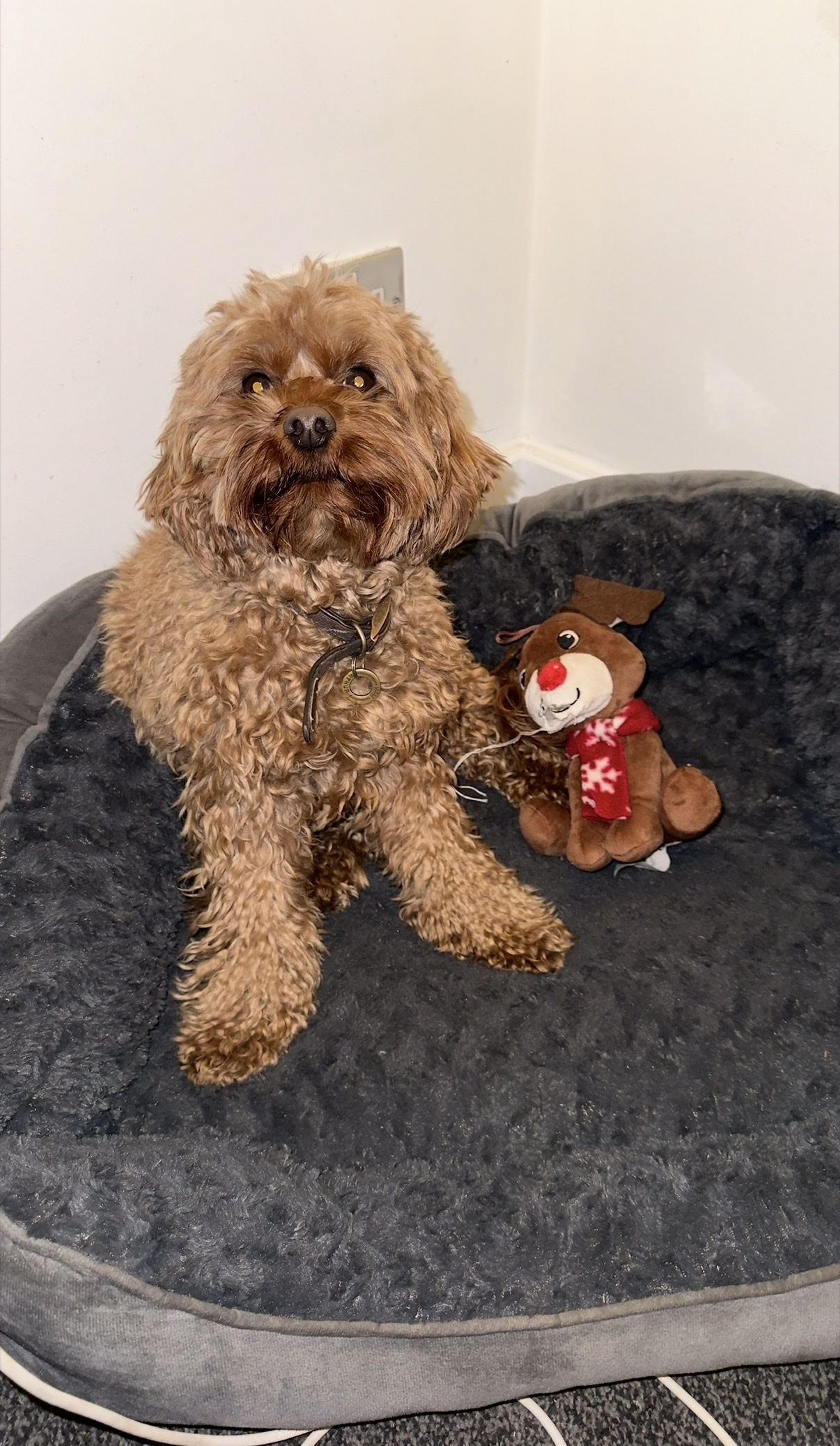 image-25