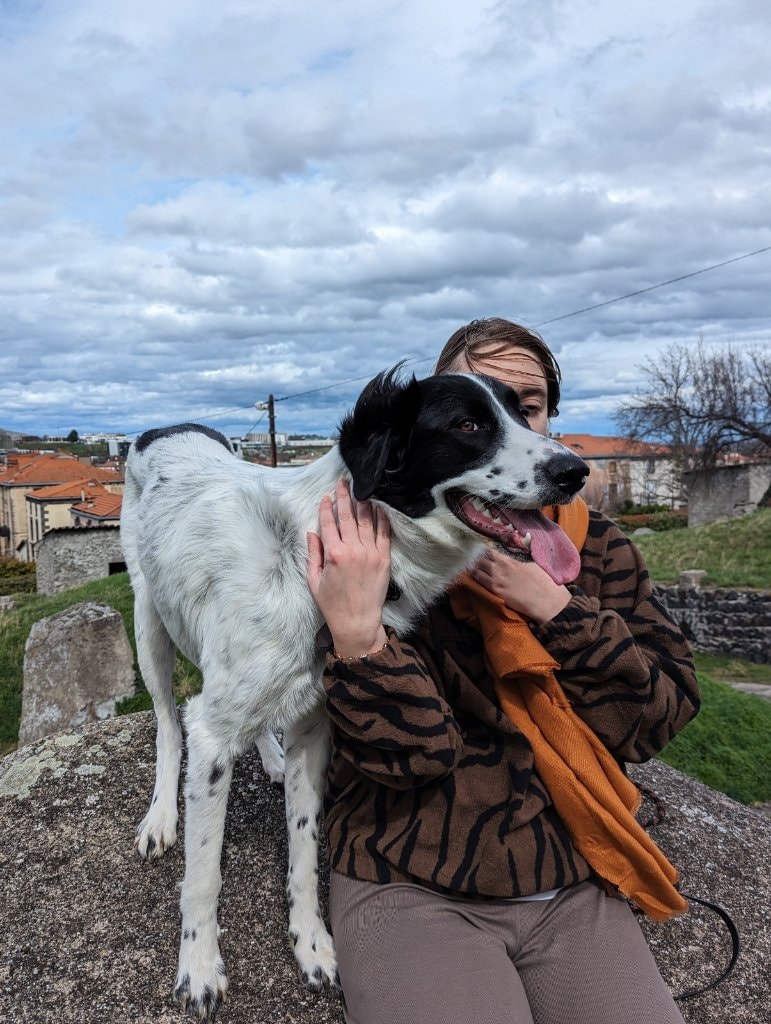 image-6
