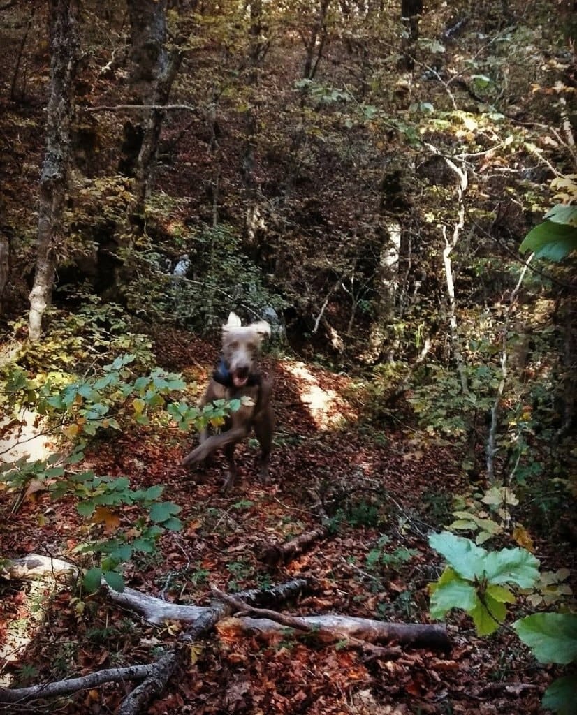 image-11