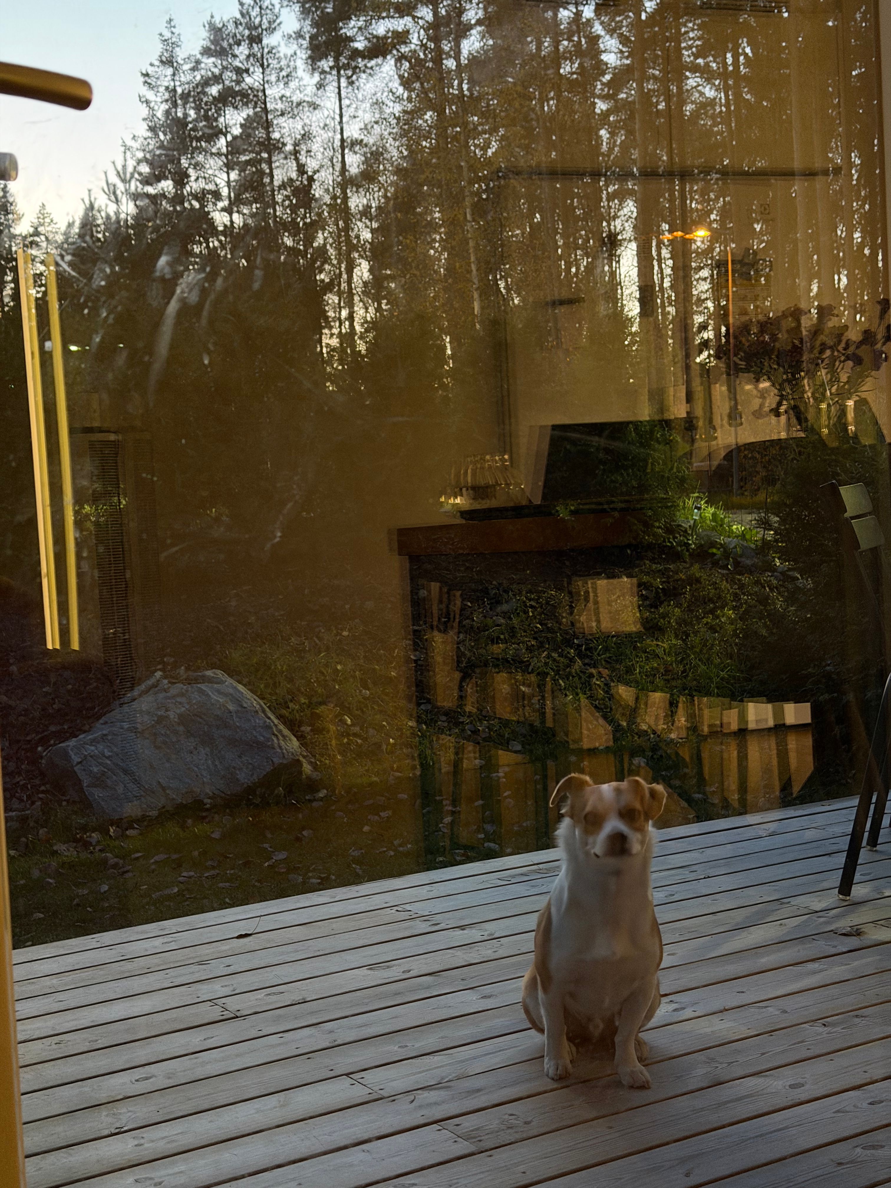 image-15