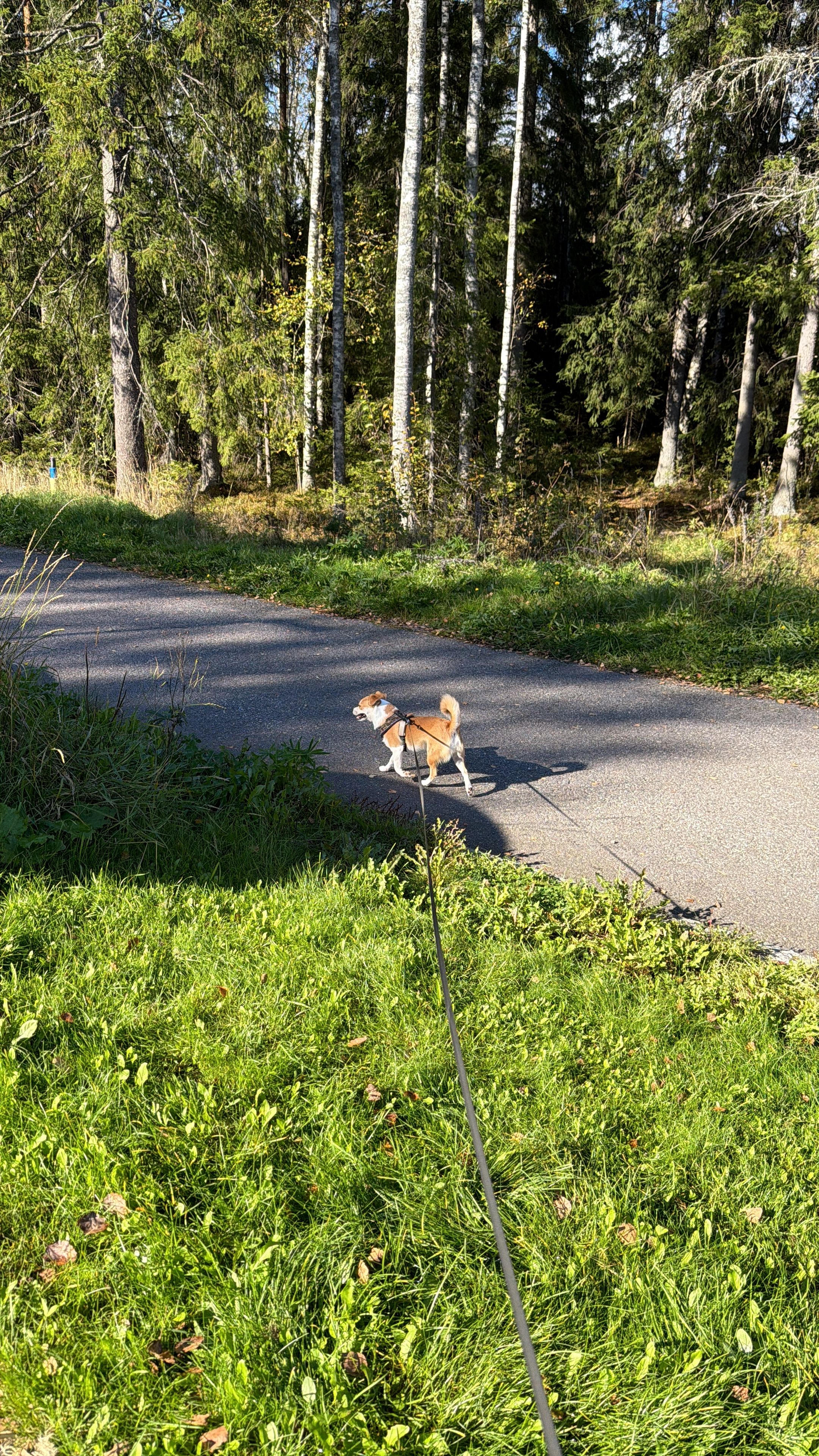 image-17