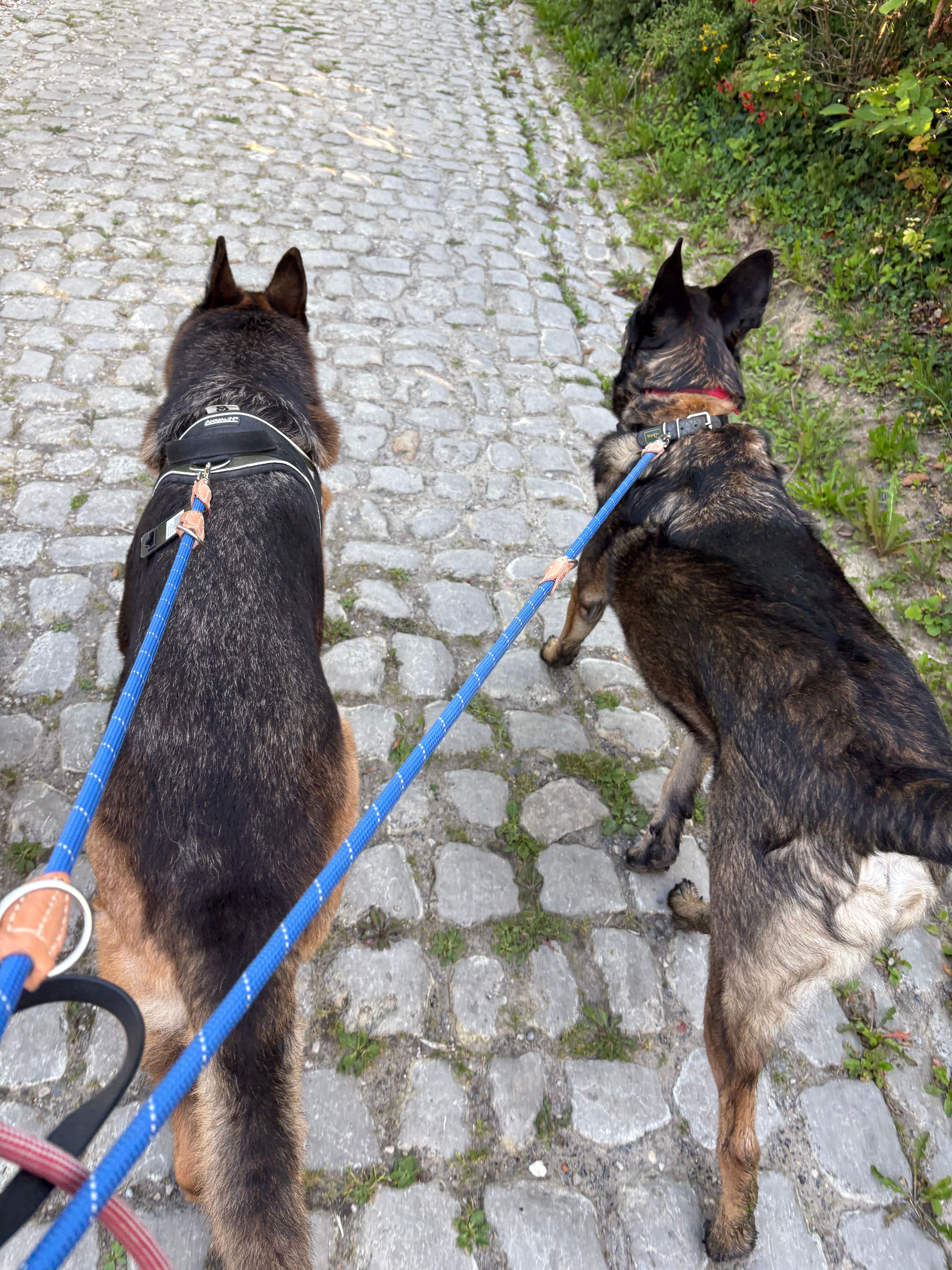 image-23