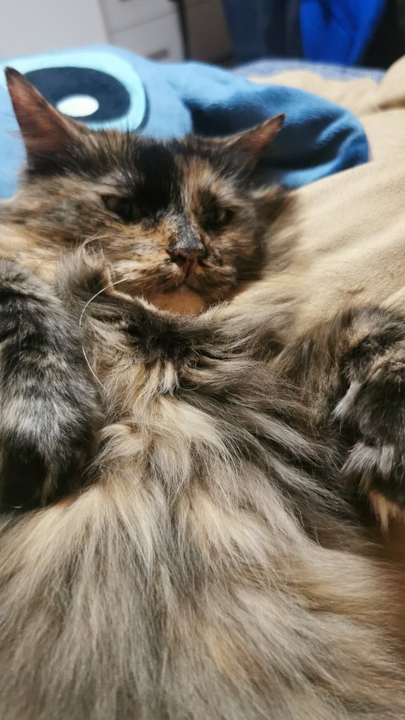 Floffy