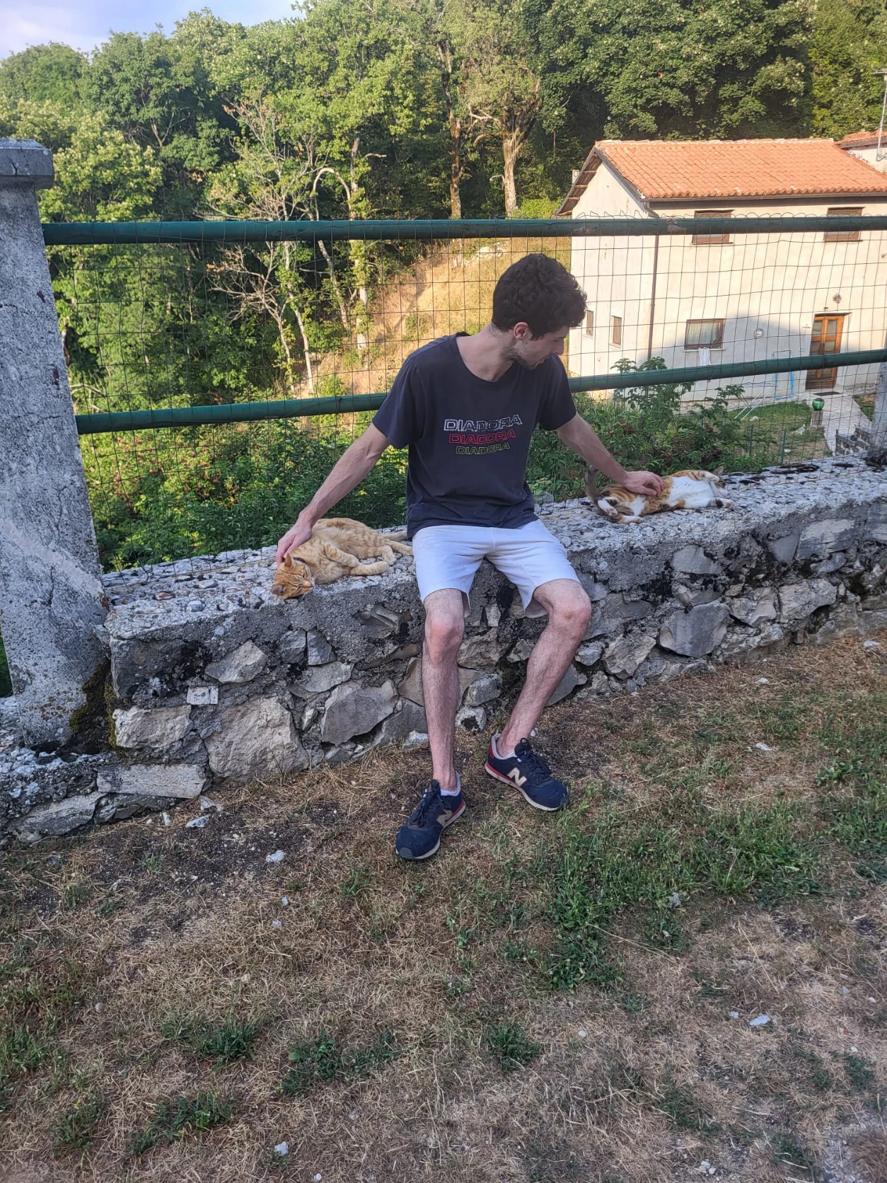 image-3