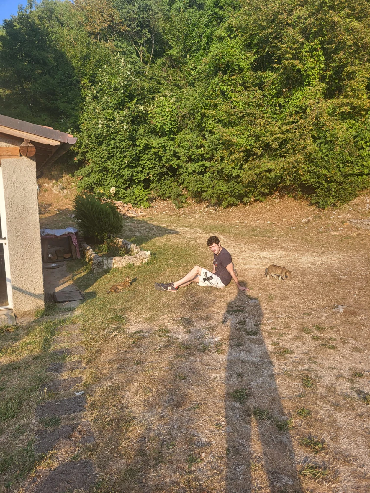 image-4