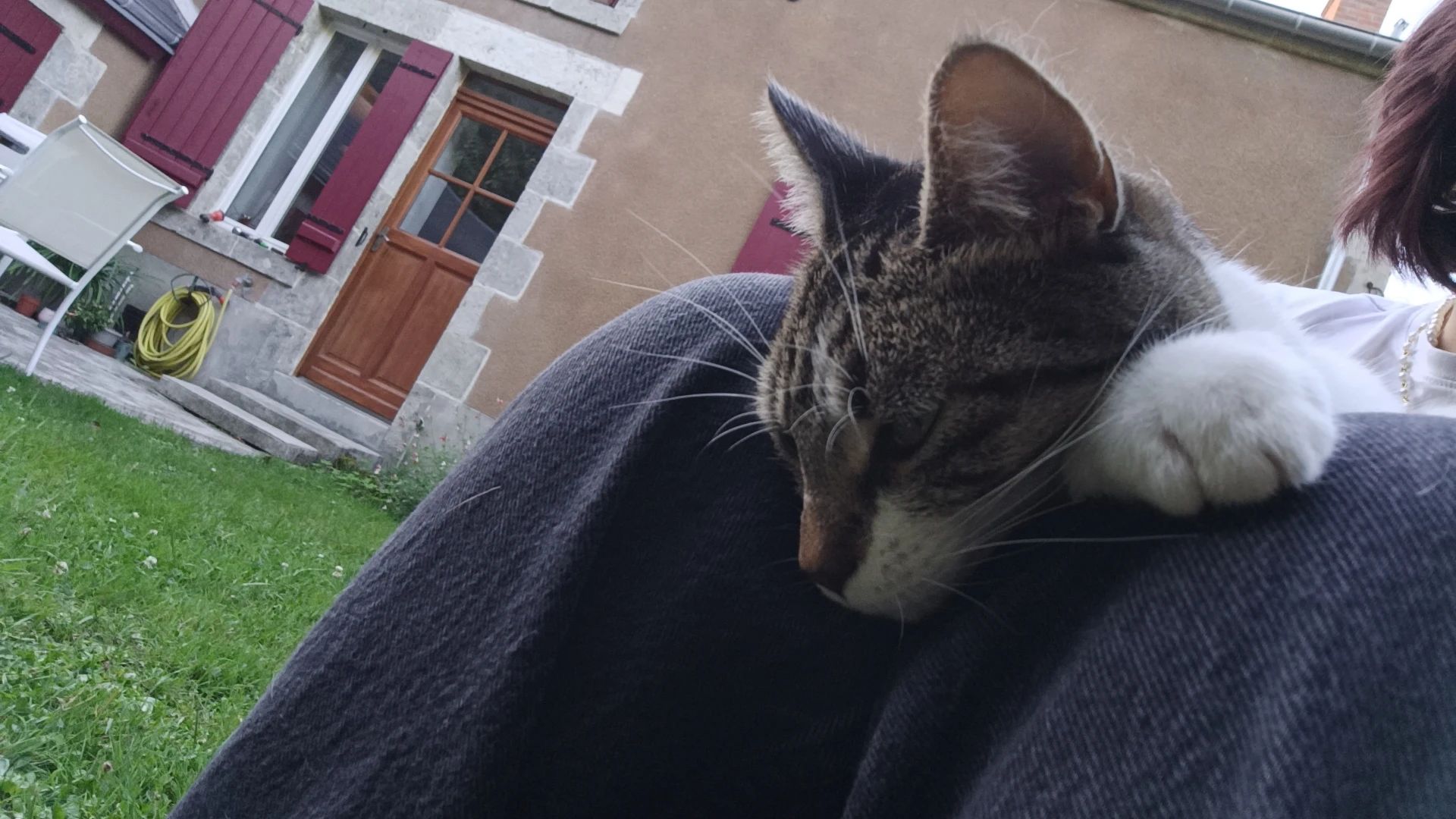 image-5
