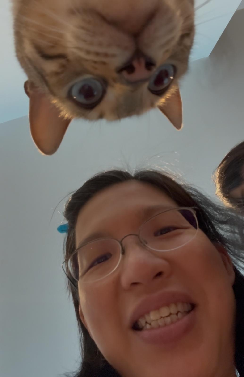 image-11