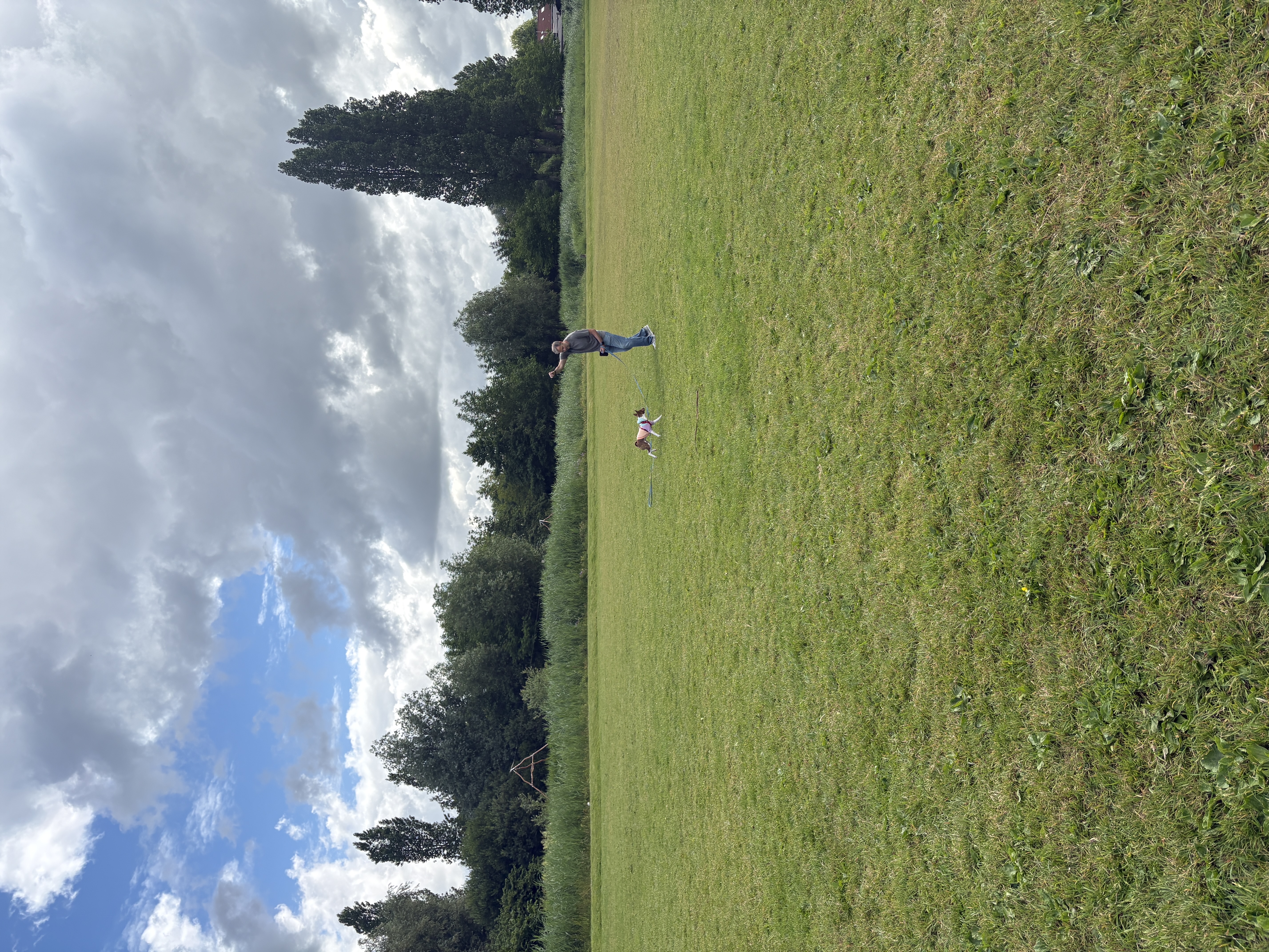 image-18