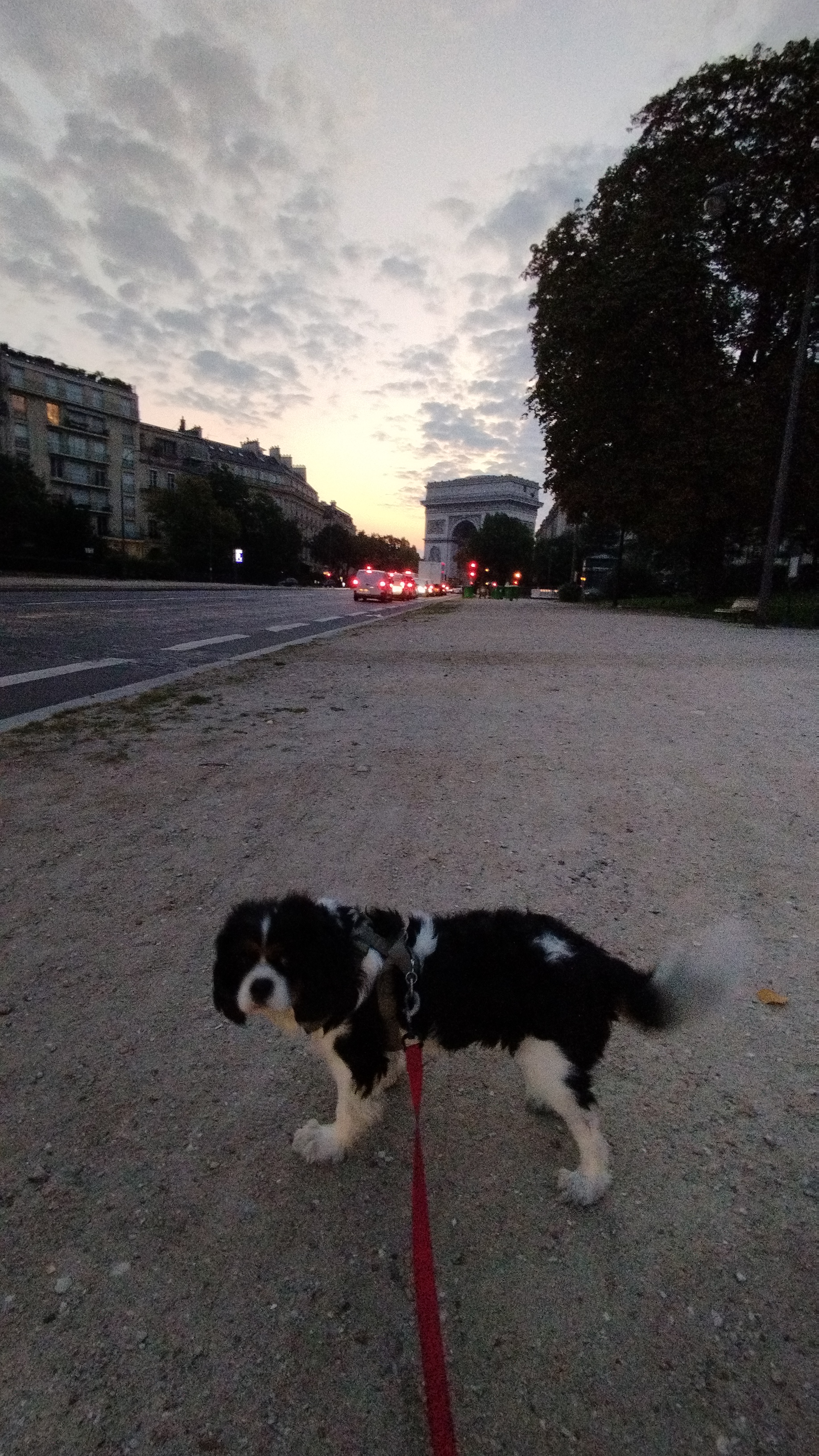 image-6