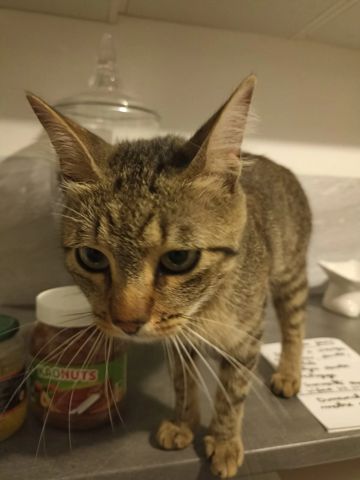image-3