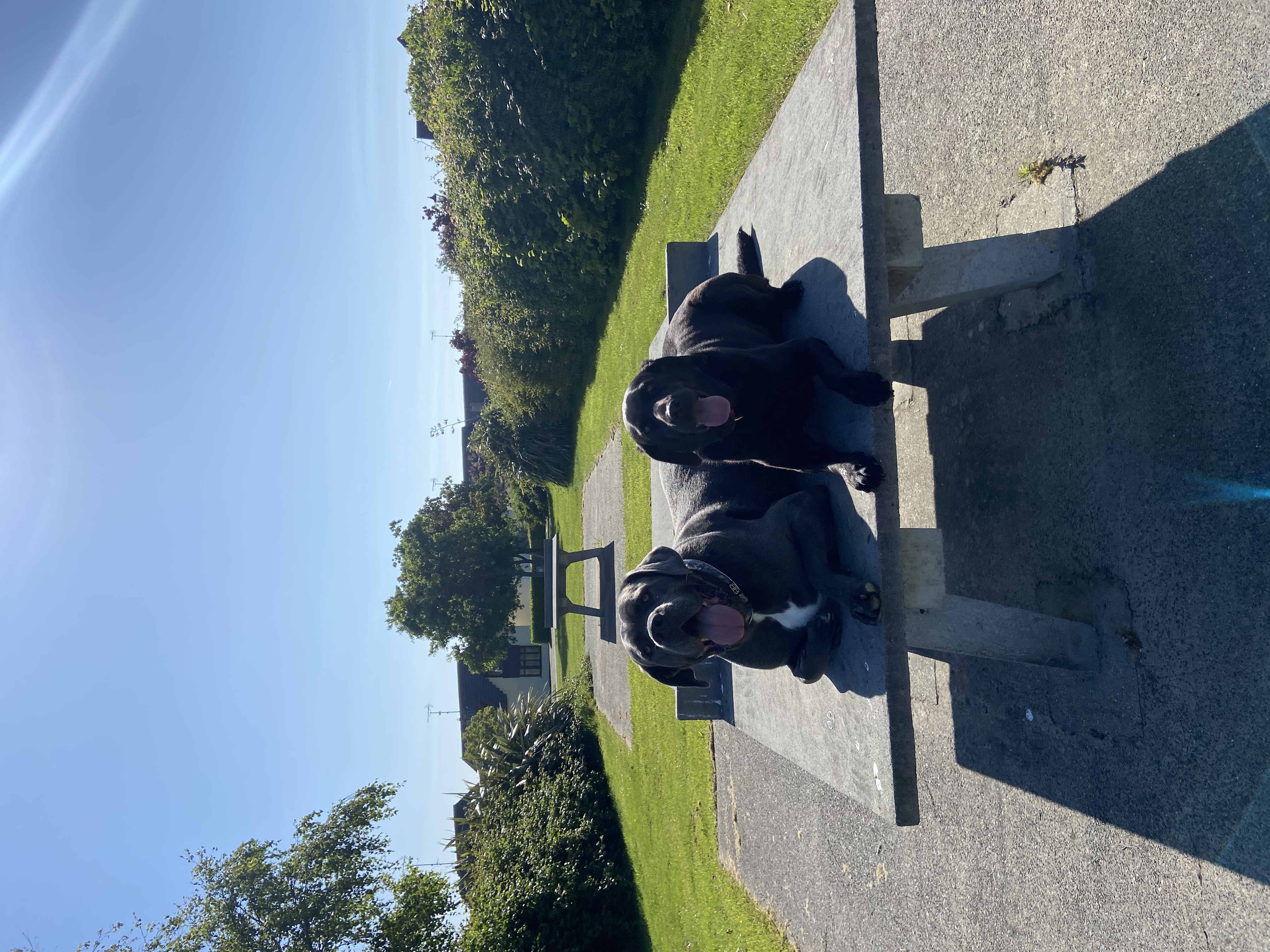 image-3