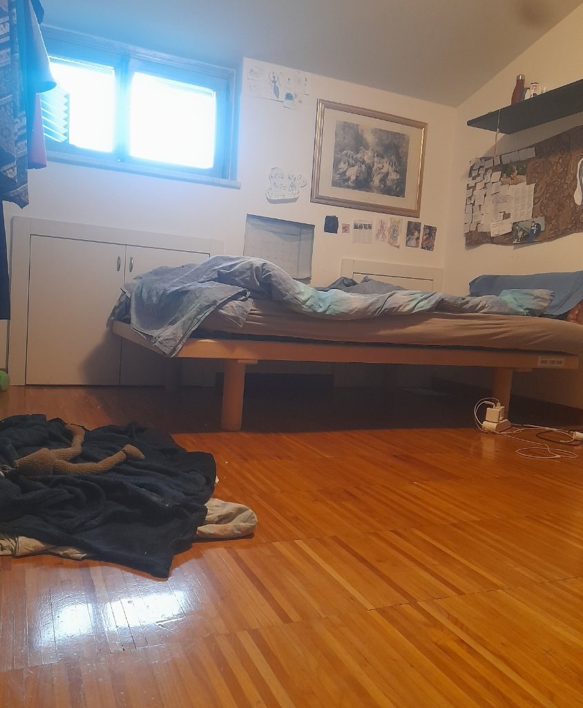 image-5