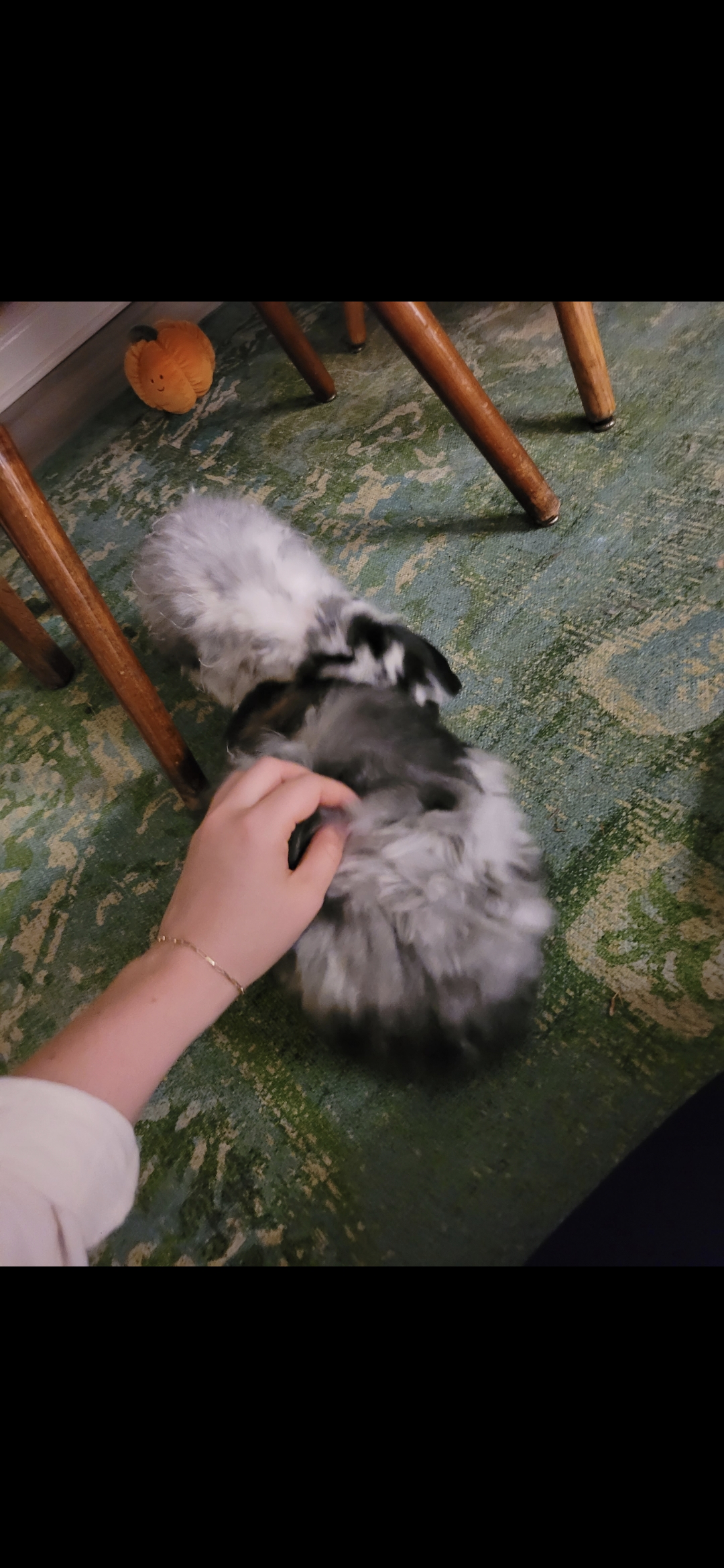 image-3