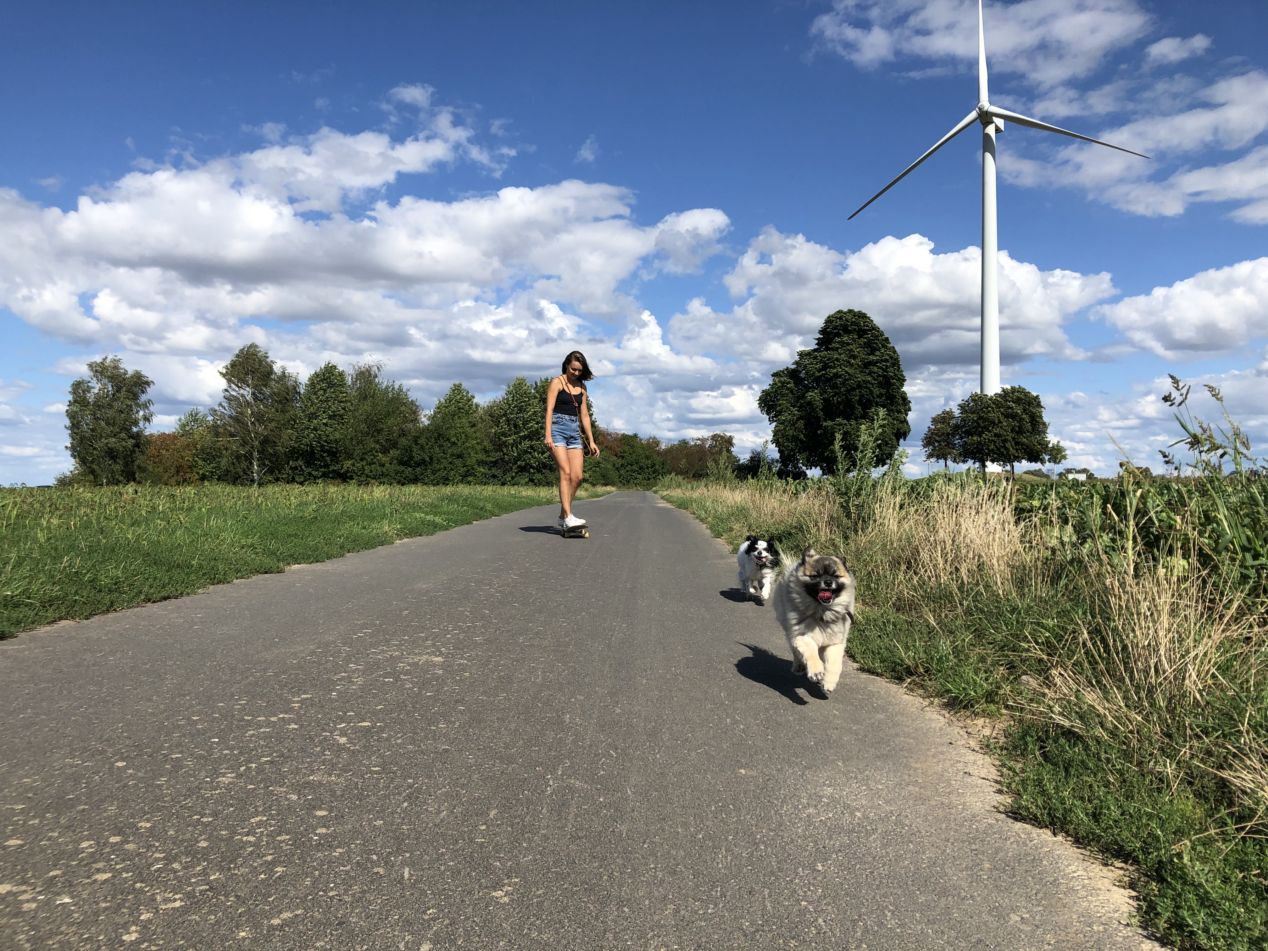 image-7