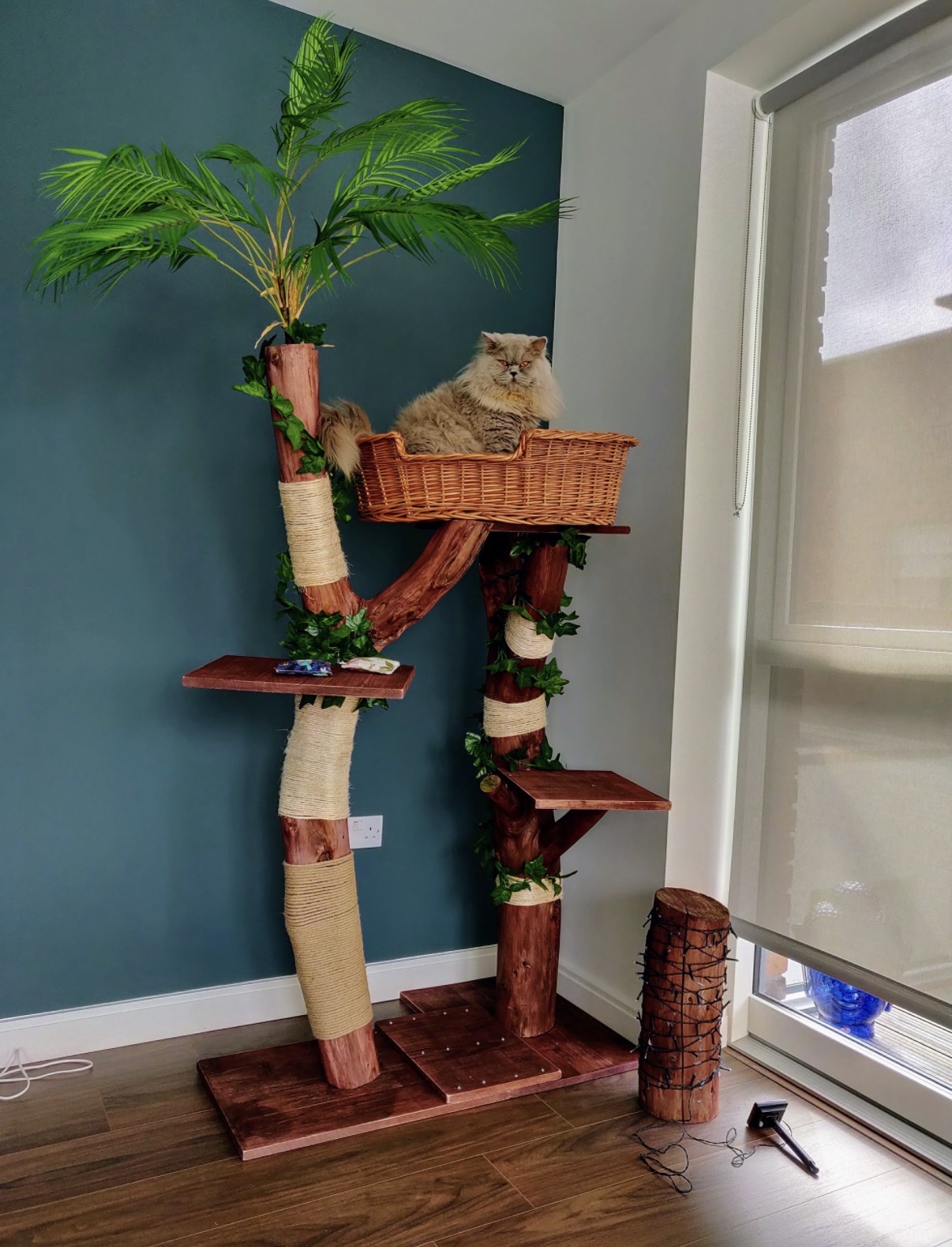 image-15