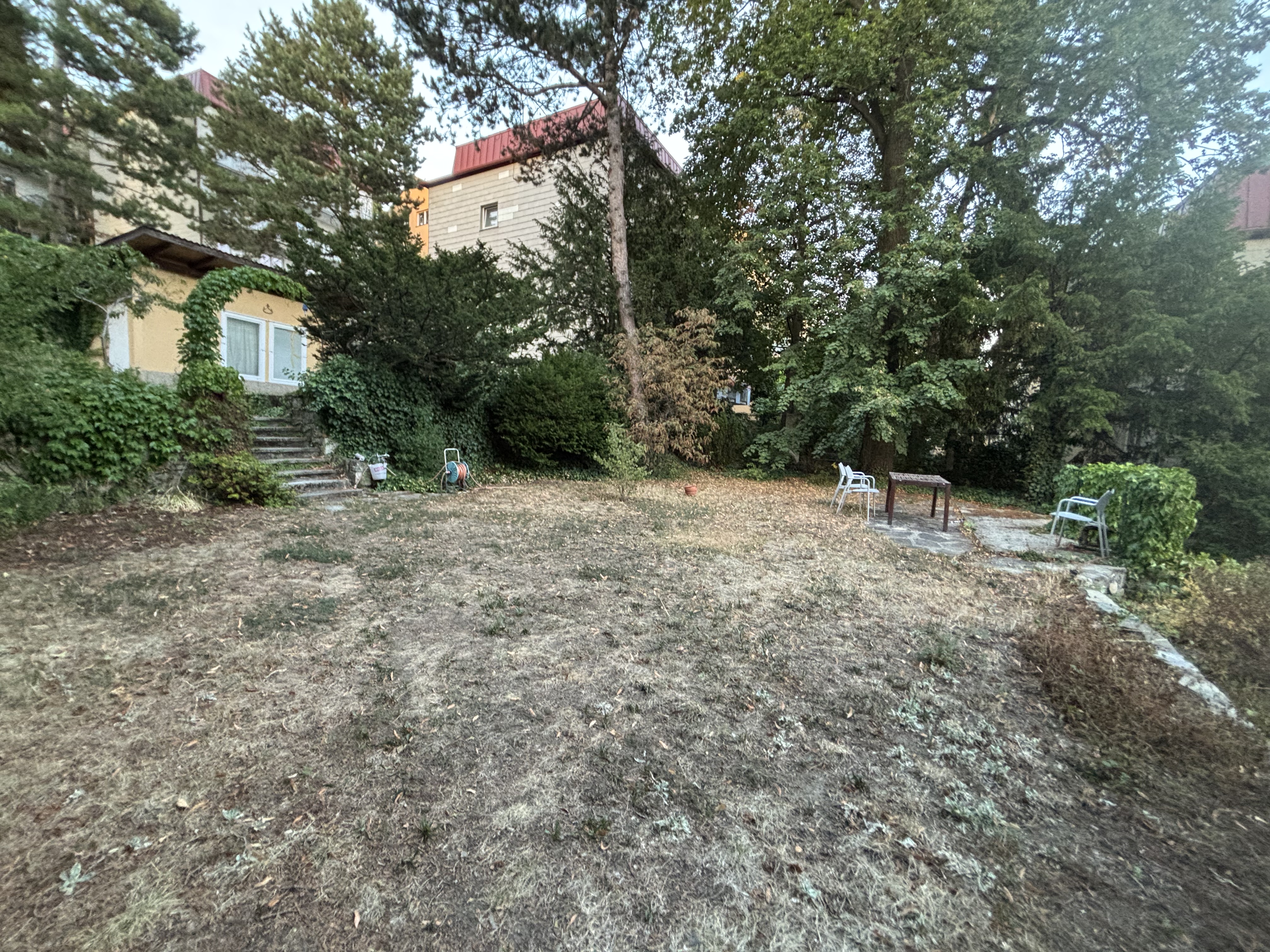 image-18