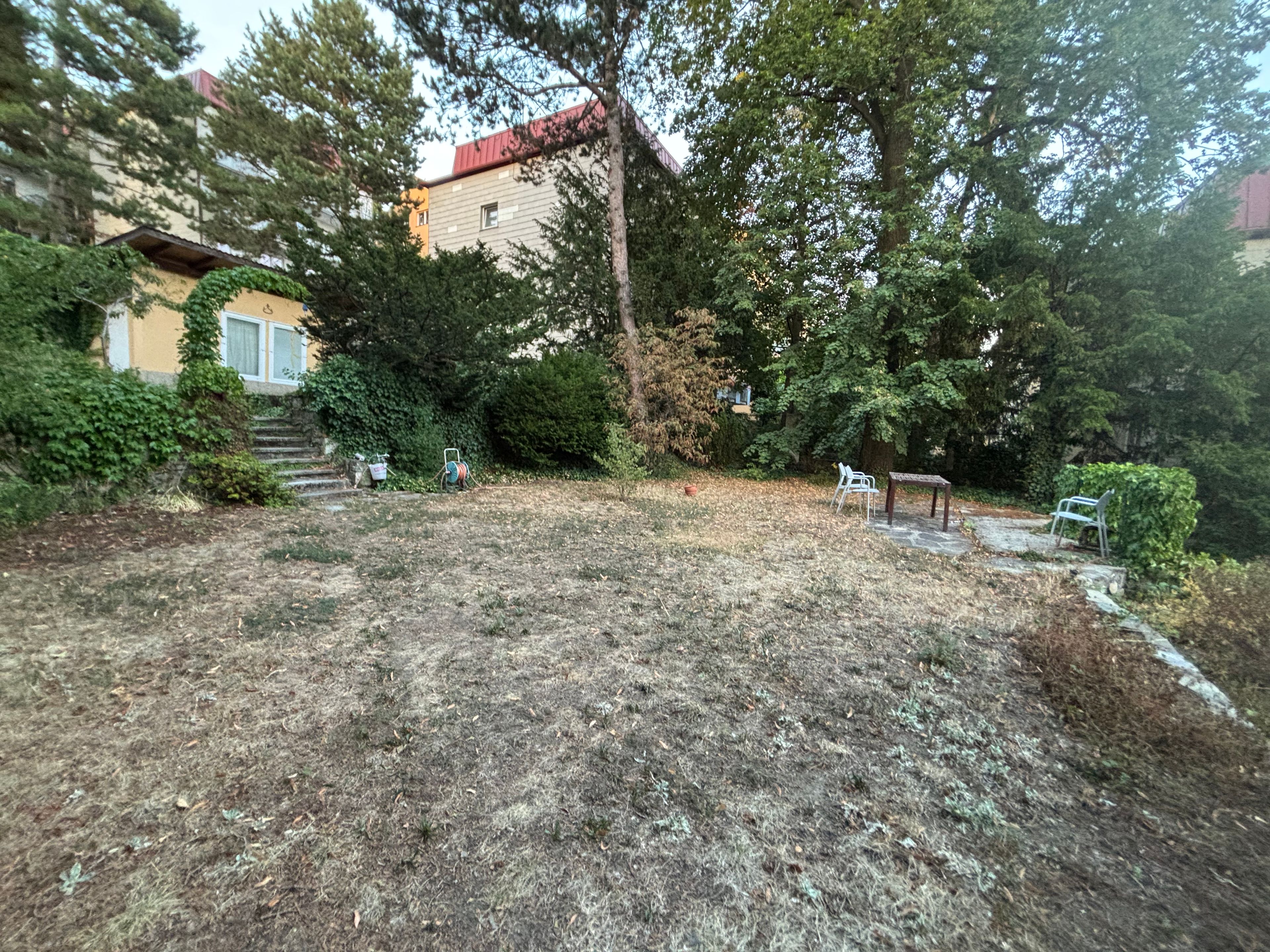 image-18