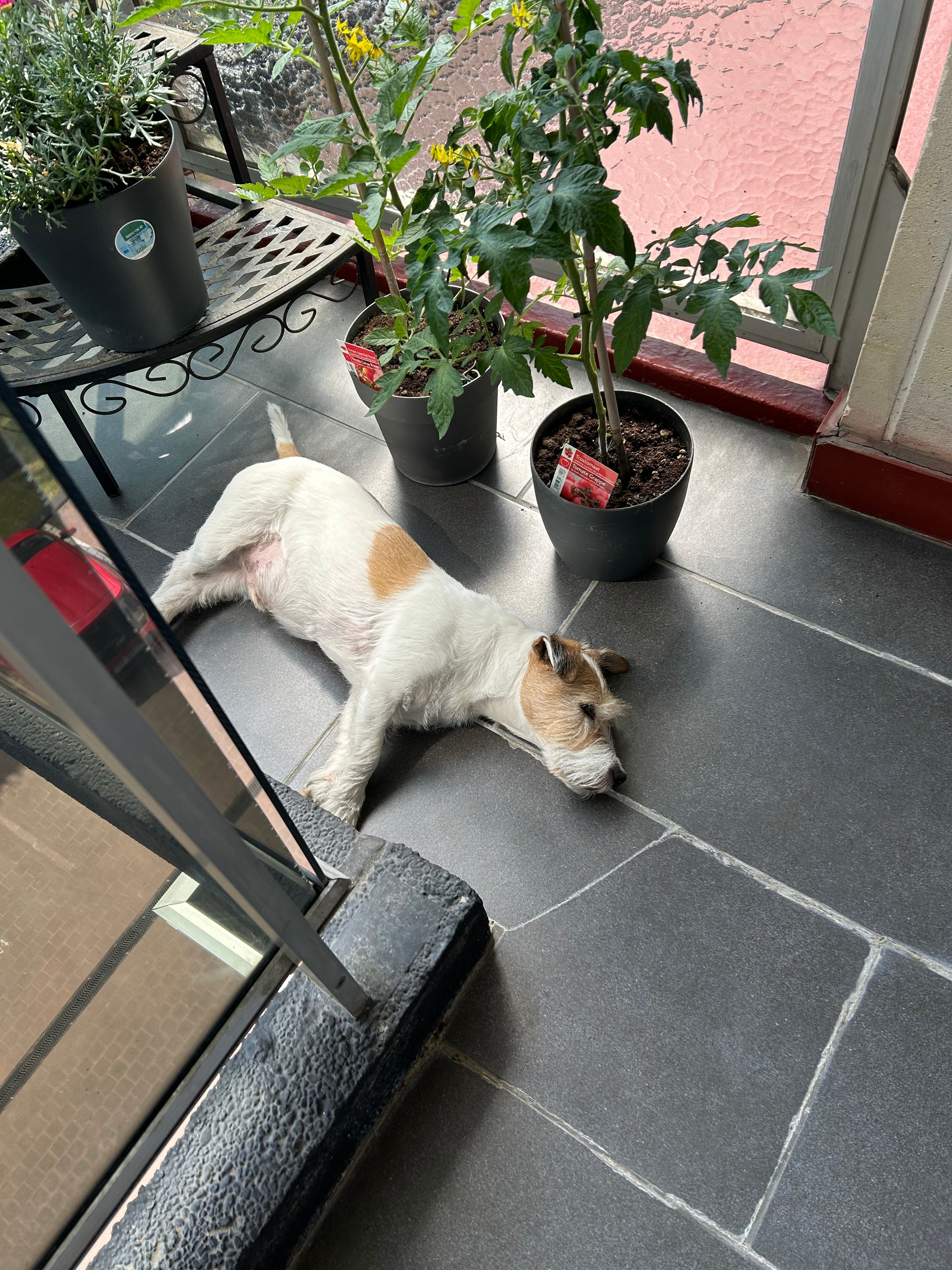 image-18