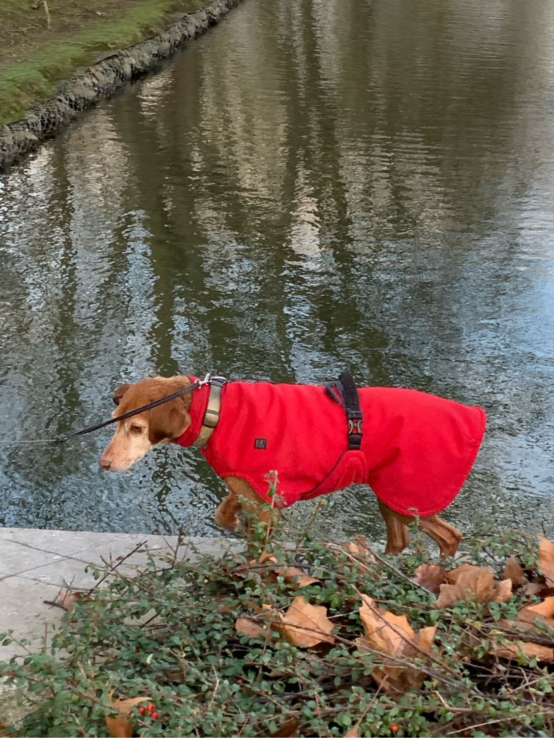 image-9