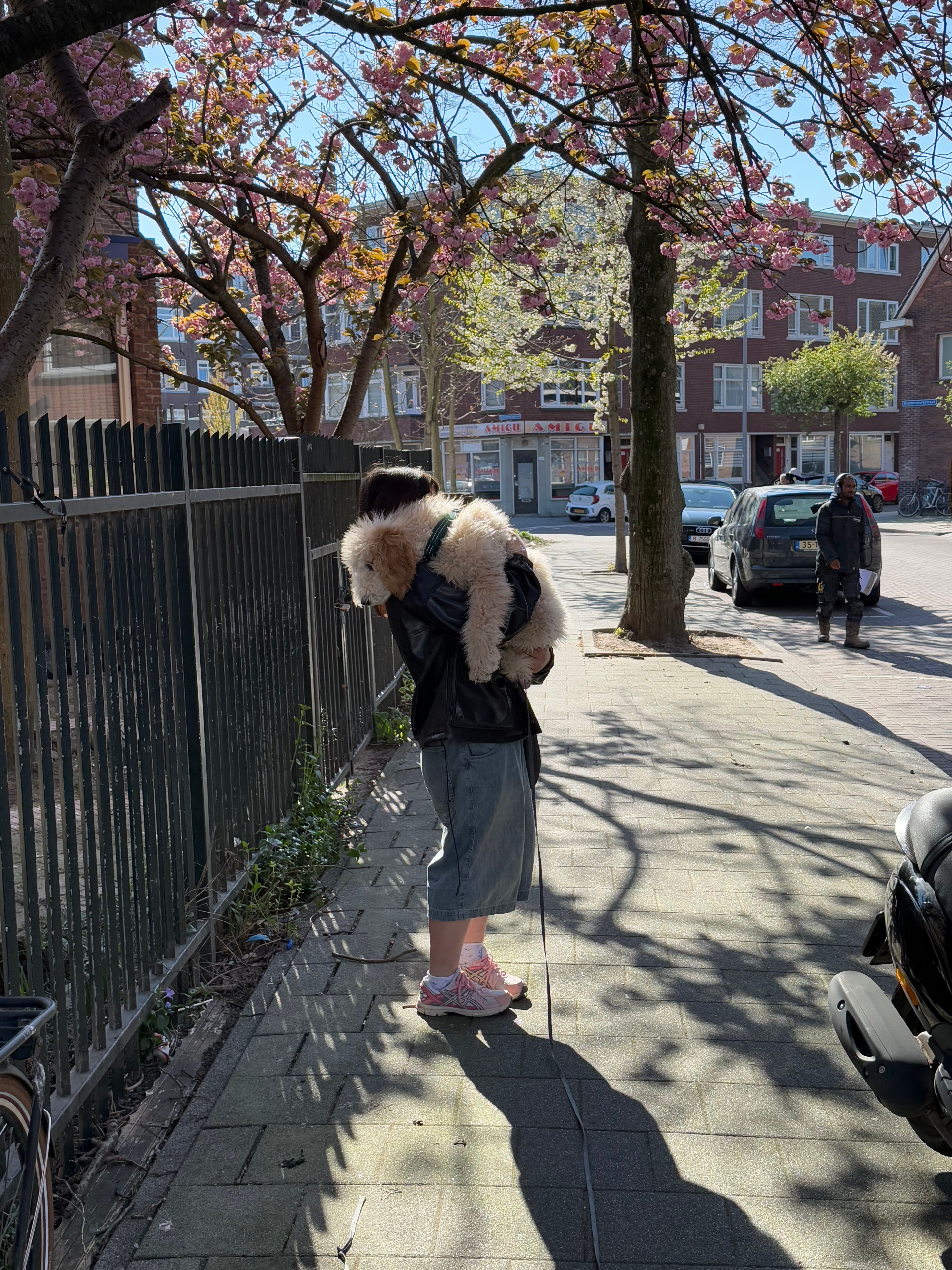 image-7